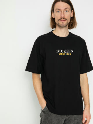 Dickies Park T-Shirt (black/tangerine)