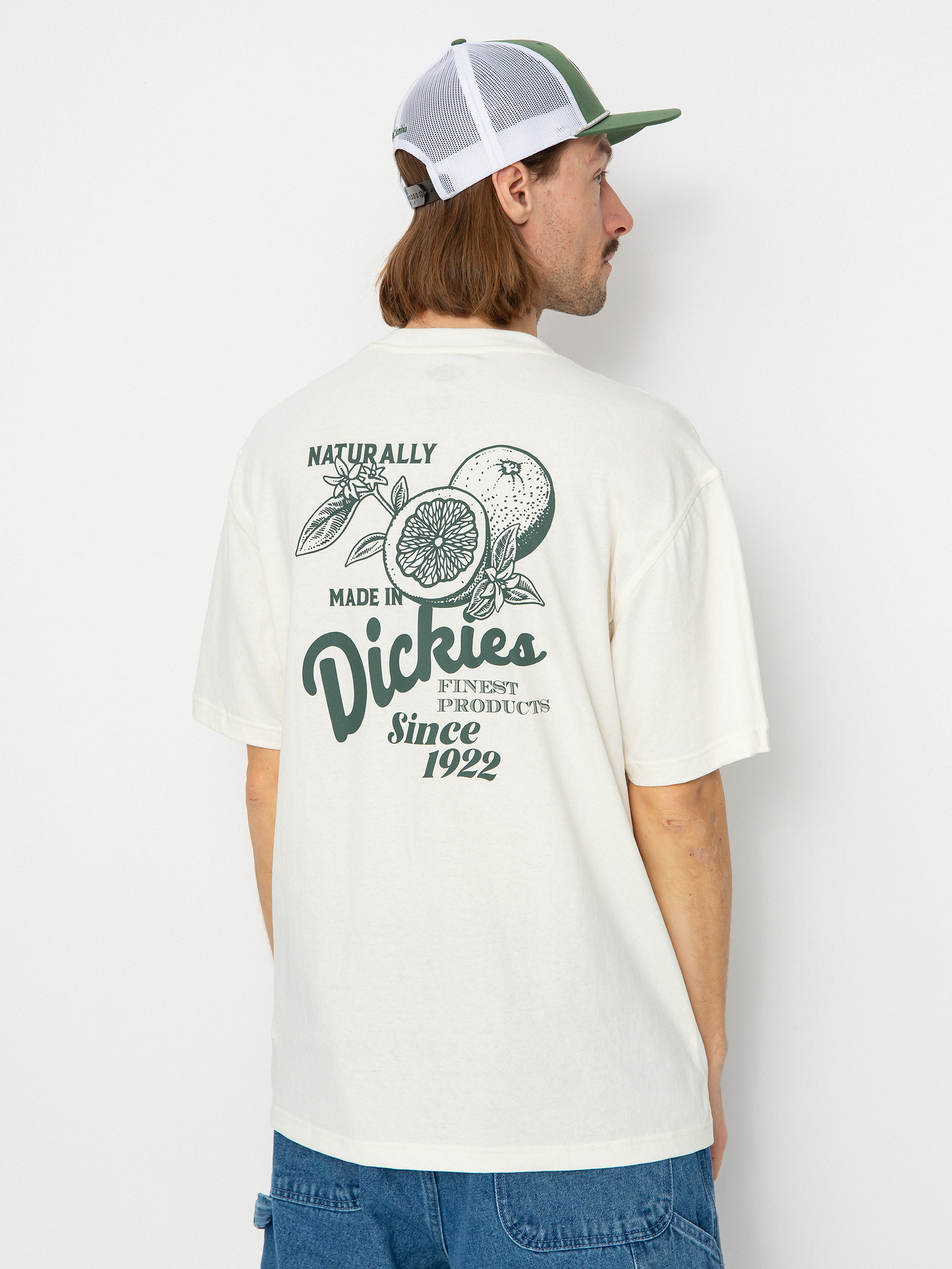 Dickies Raven T-Shirt (cloud)