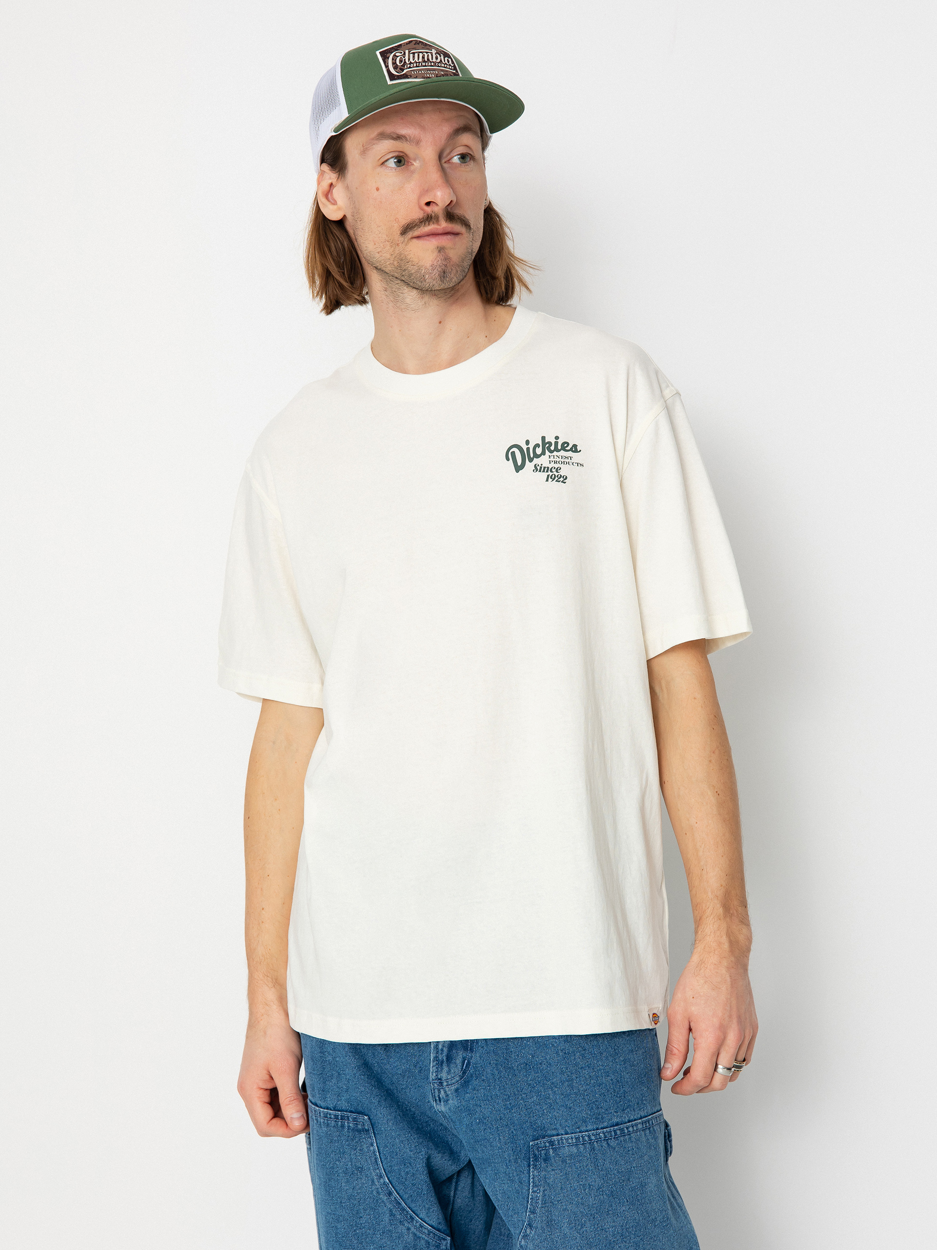 Dickies Raven T-Shirt (cloud)