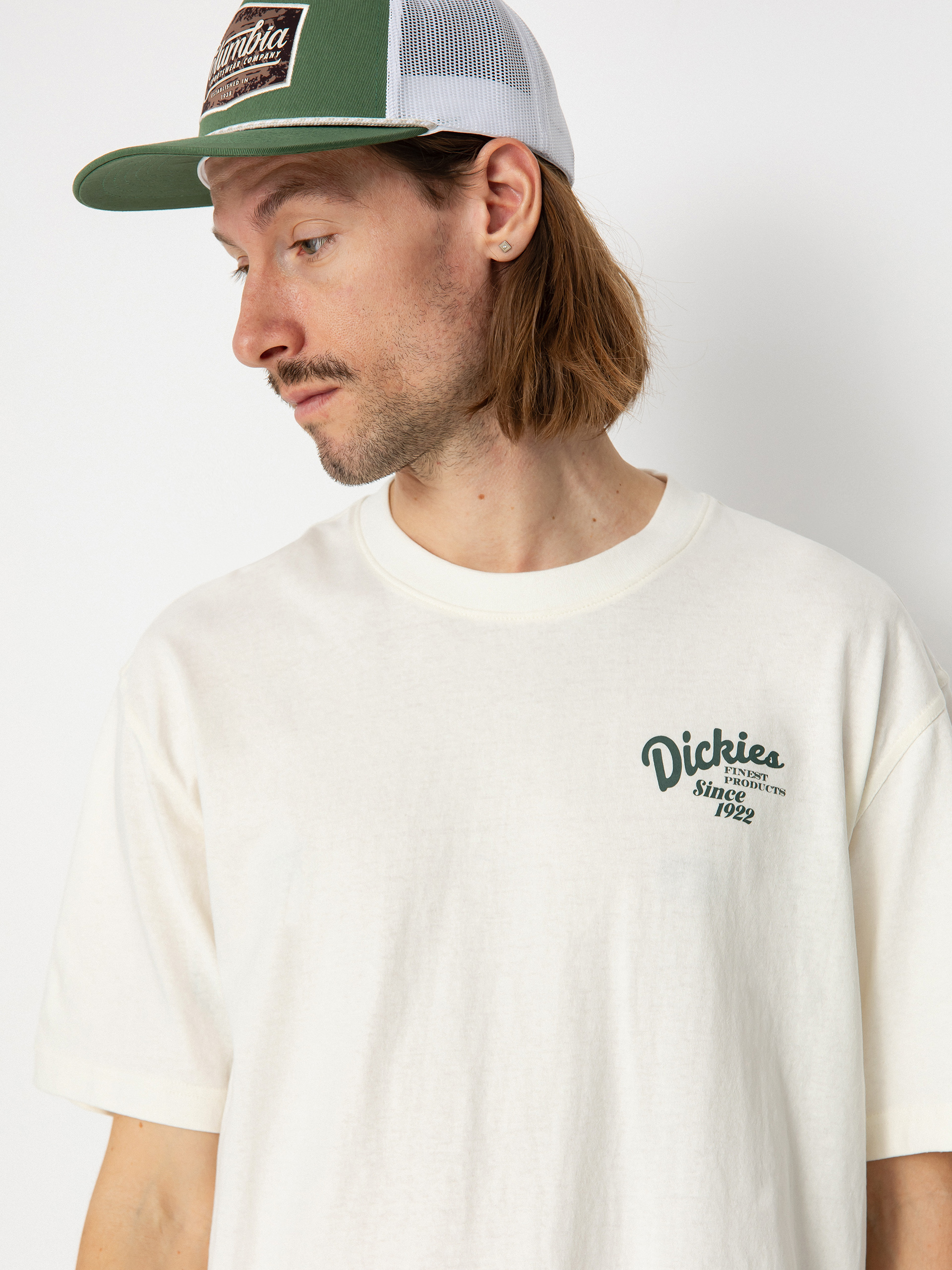 Dickies Raven T-Shirt (cloud)