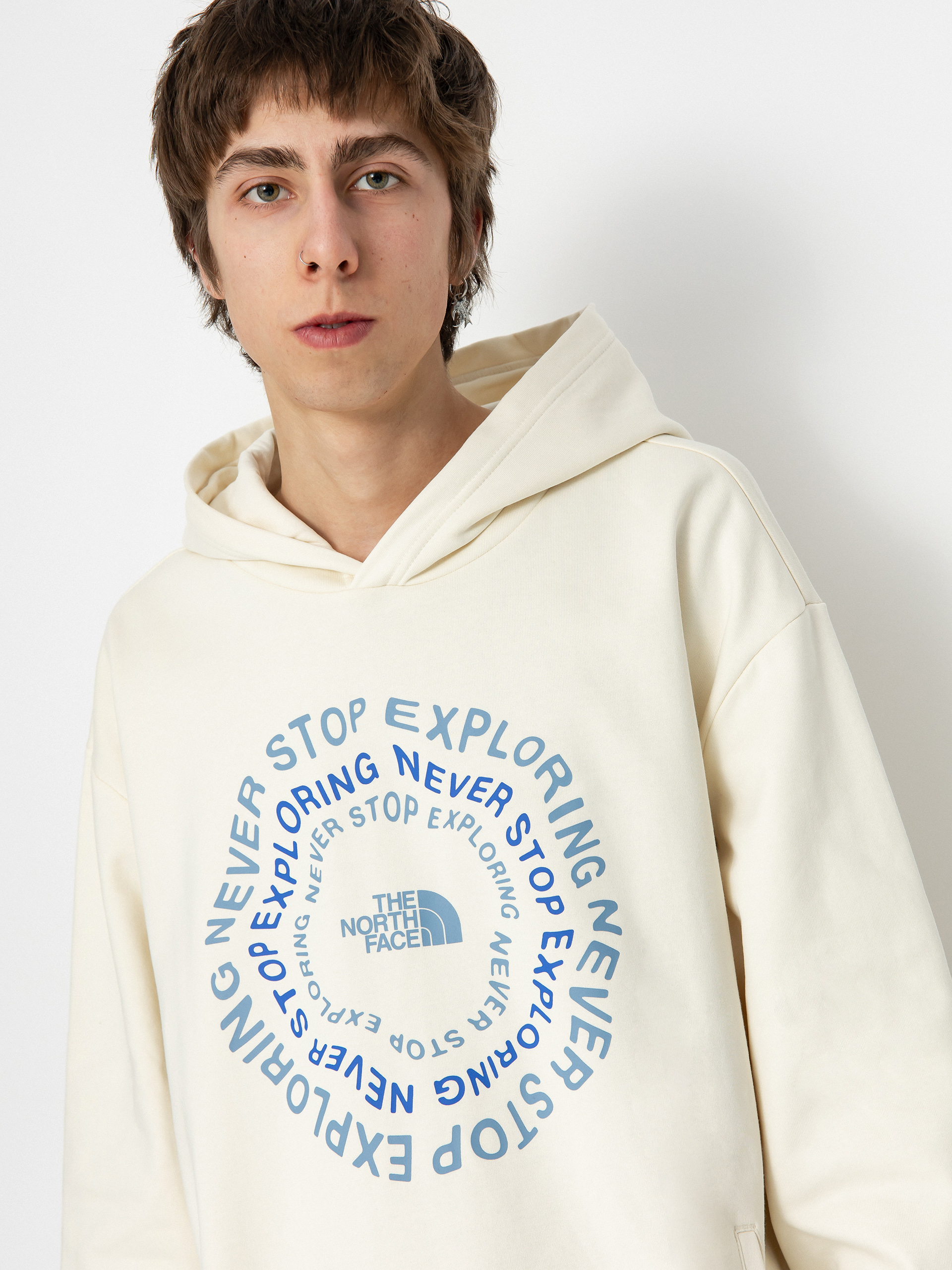 The North Face Nse Graphic HD Hoodie (white dune)