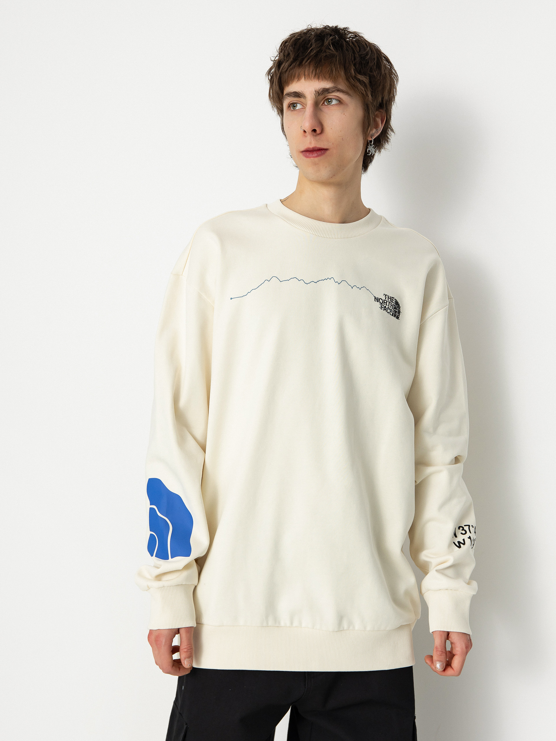 The North Face Nse Graphic Crew Sweatshirt (white dune)