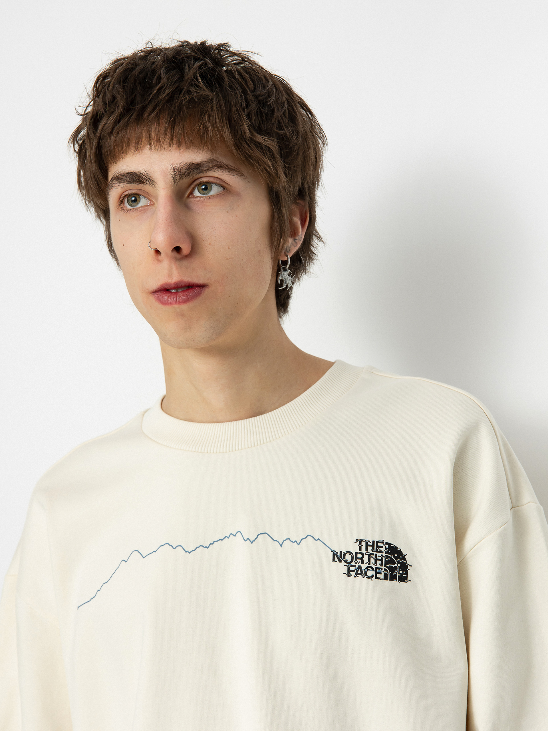 The North Face Nse Graphic Crew Sweatshirt (white dune)