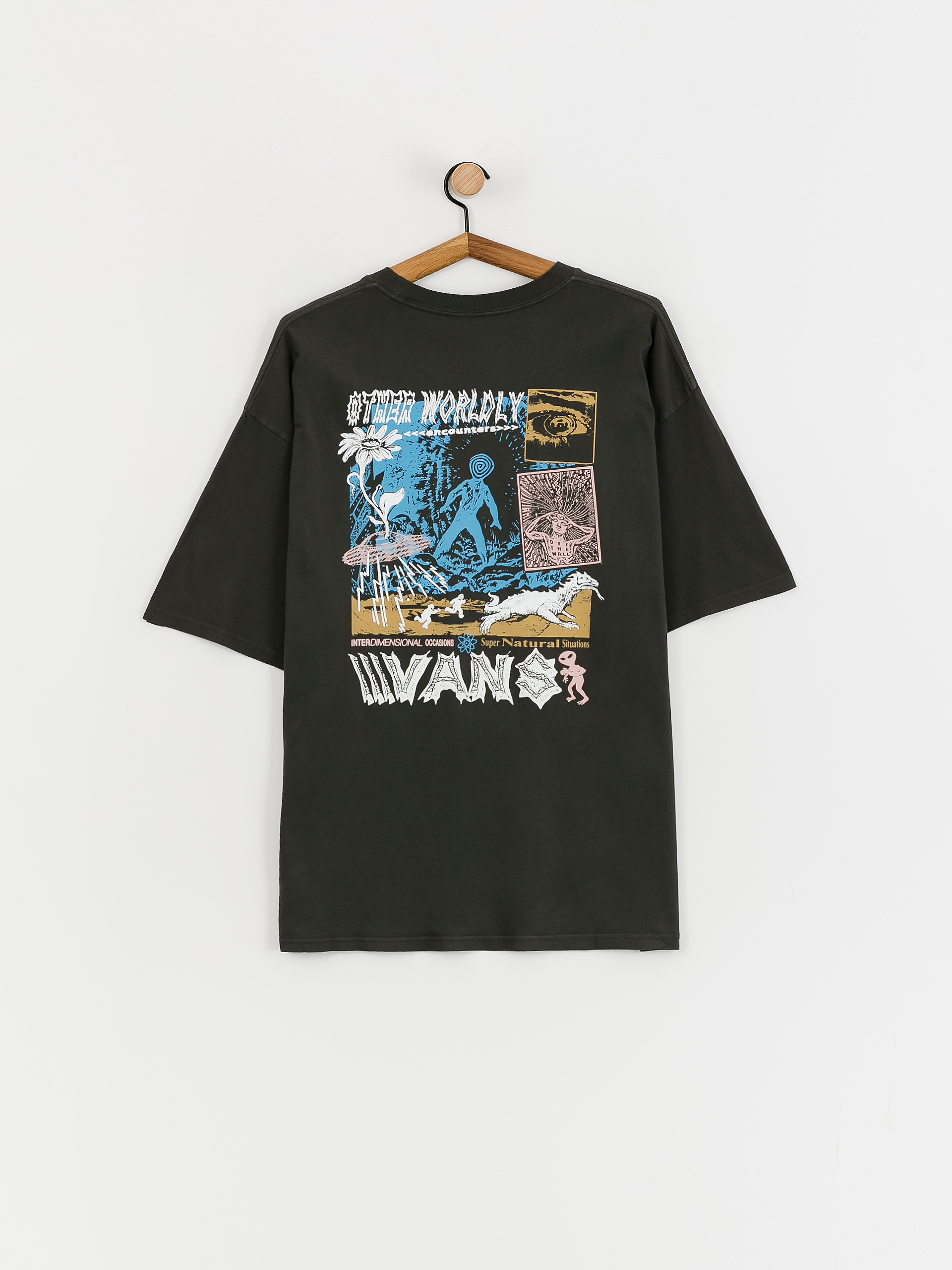 Vans T-Shirt Vans Encounter (black)