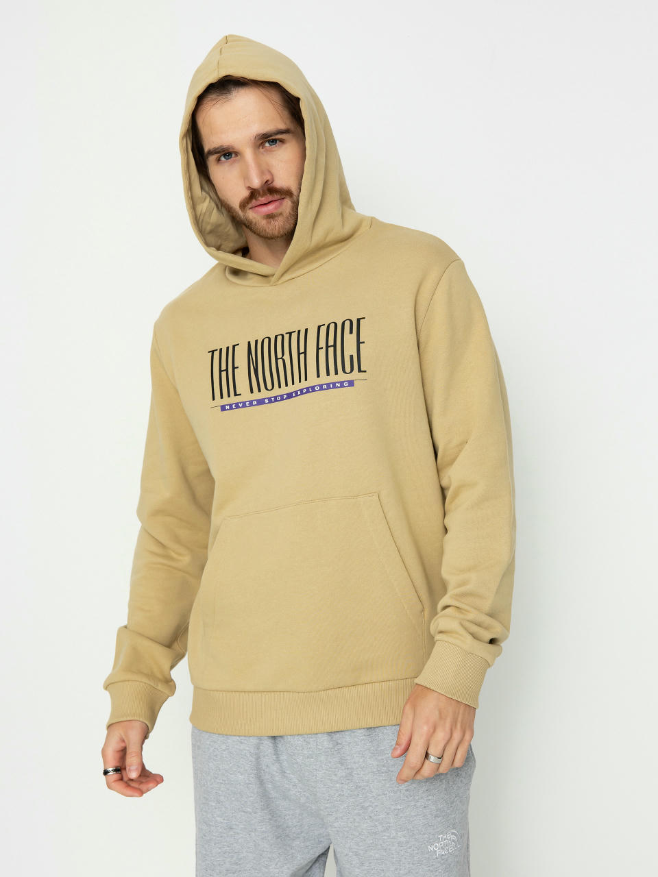 The North Face Tnf Est 1966 HD Hoodie (khaki stone)