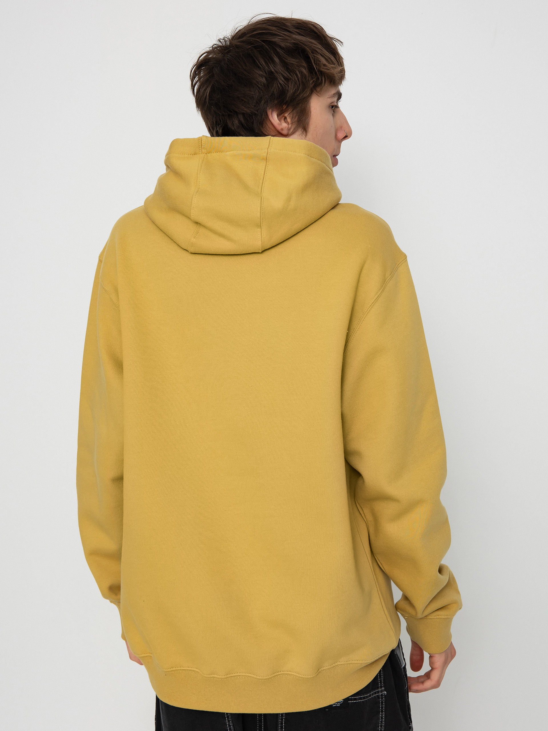 Vans Vans Arched HD Hoodie (antelope)