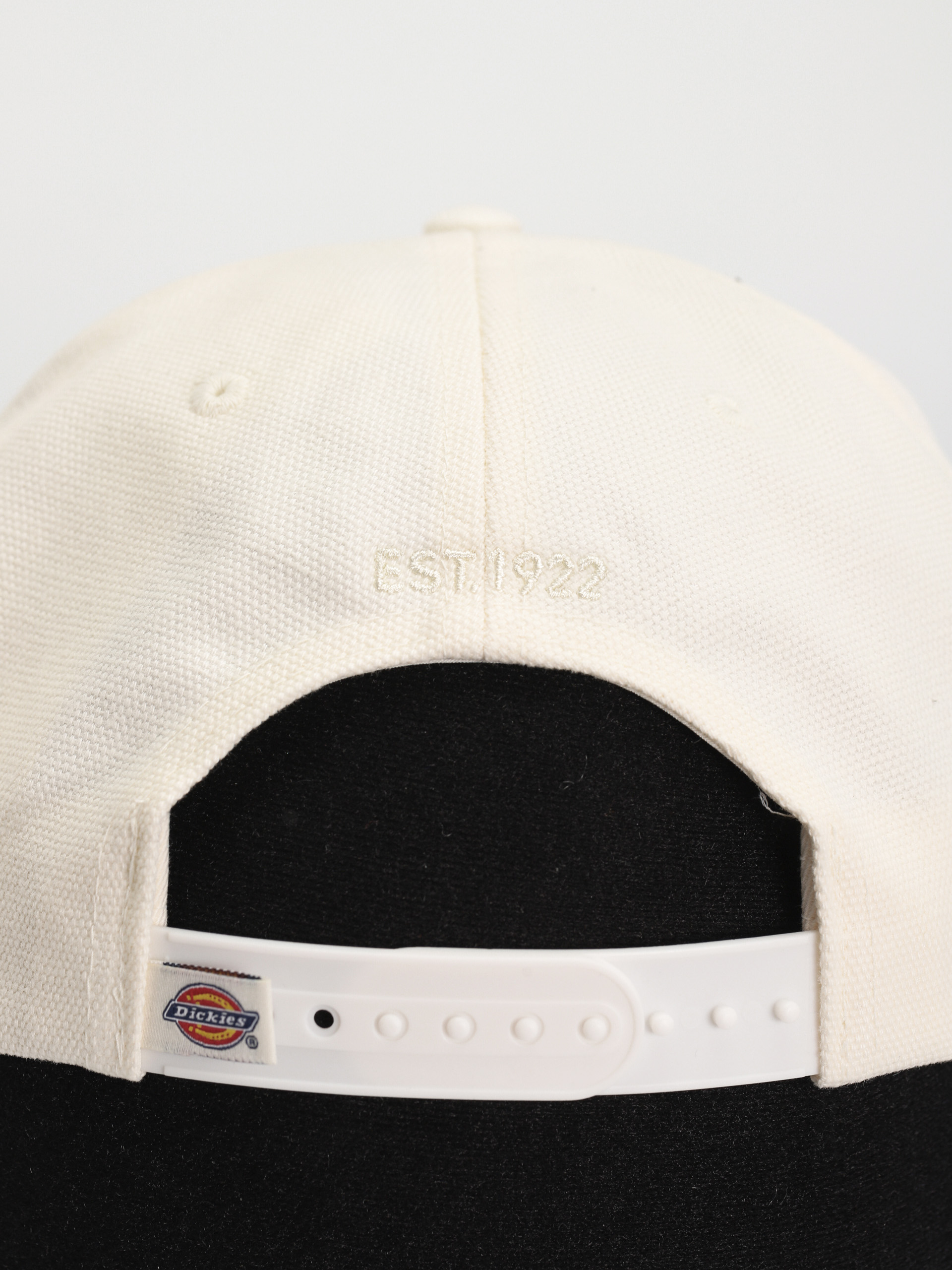 Dickies Seasonal Cap (cloud)