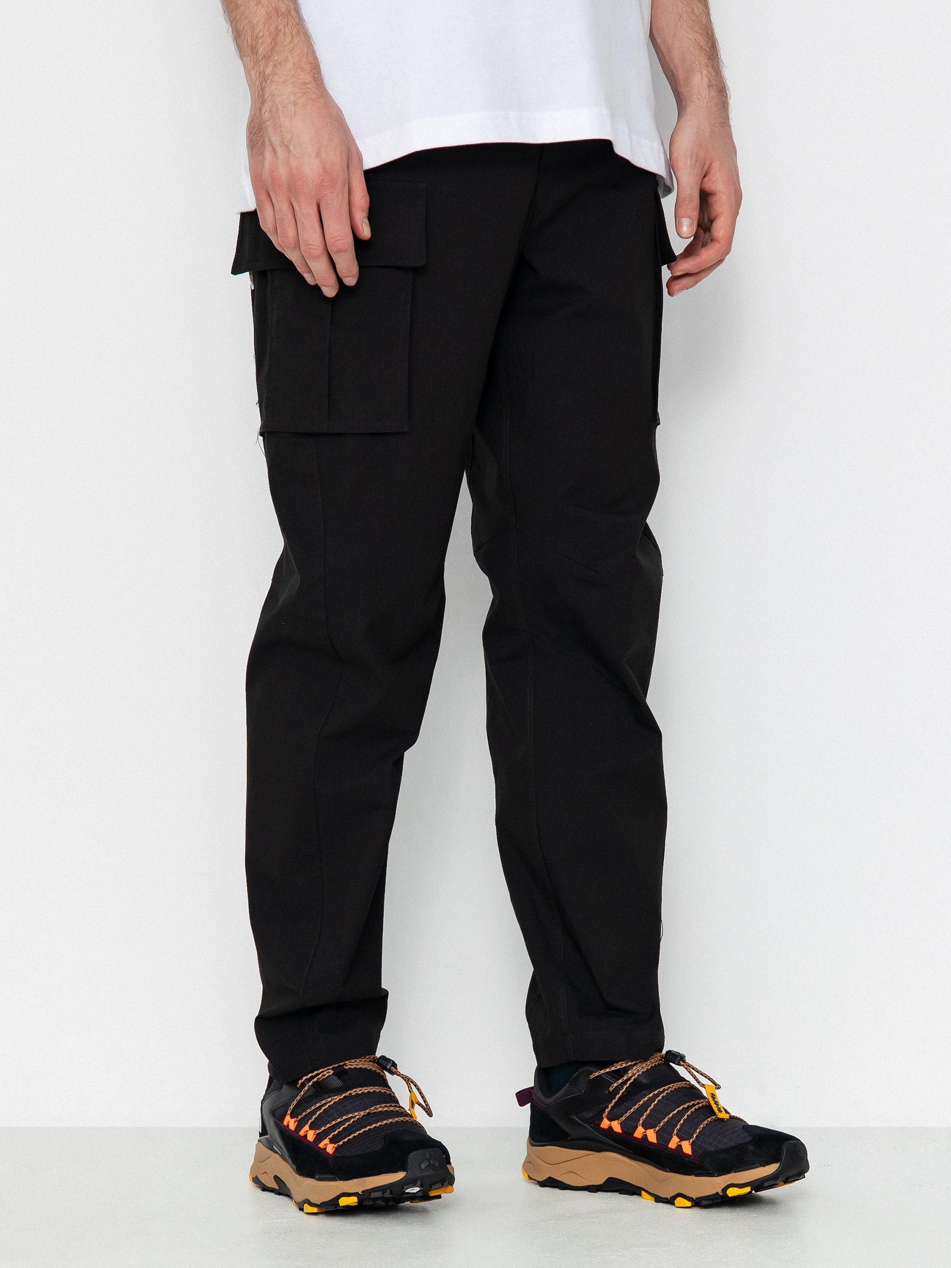 The North Face Anticline Cargo Pants (tnf black)