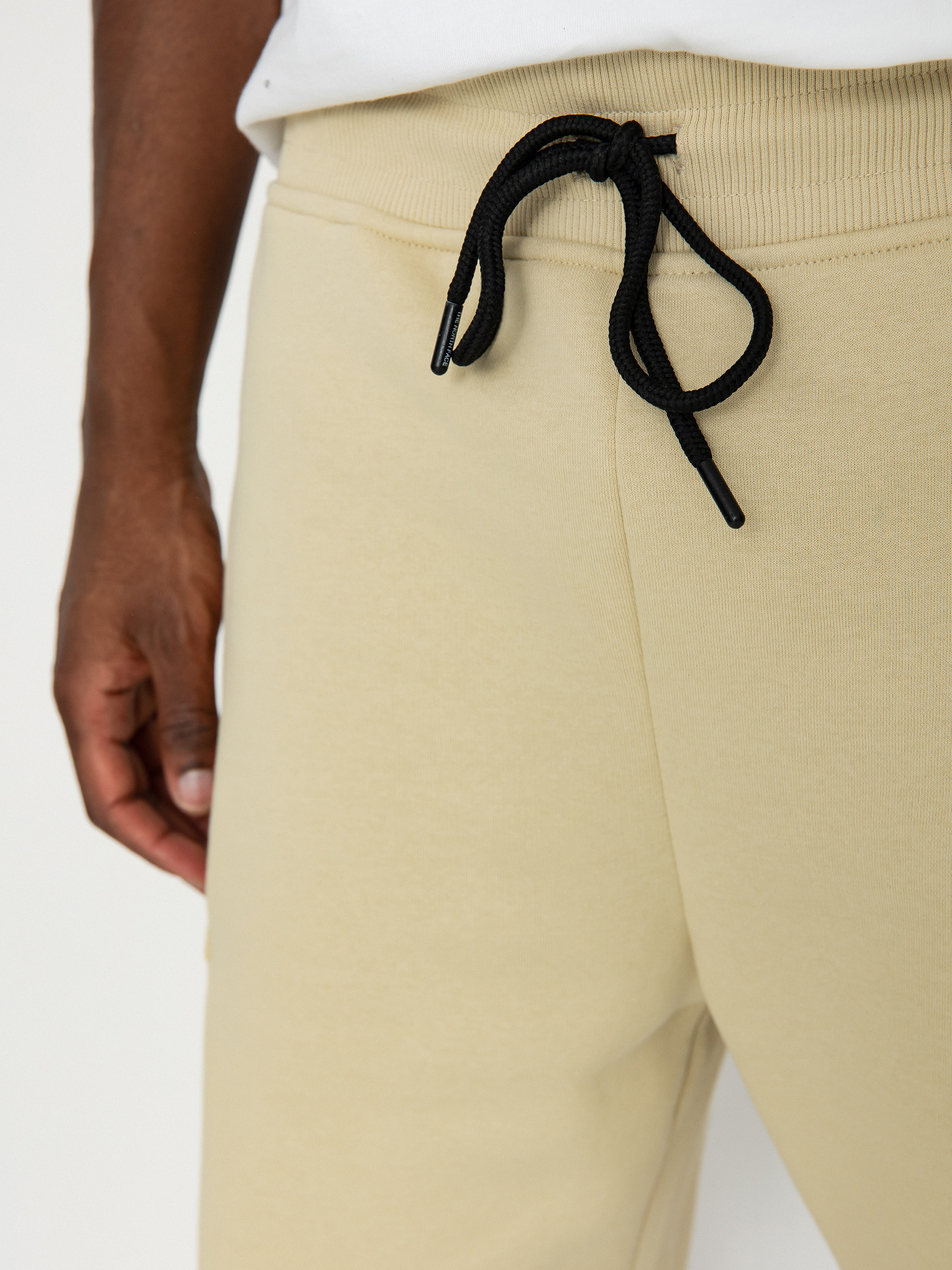 The North Face Icons Cargo Shorts Shorts (gravel)