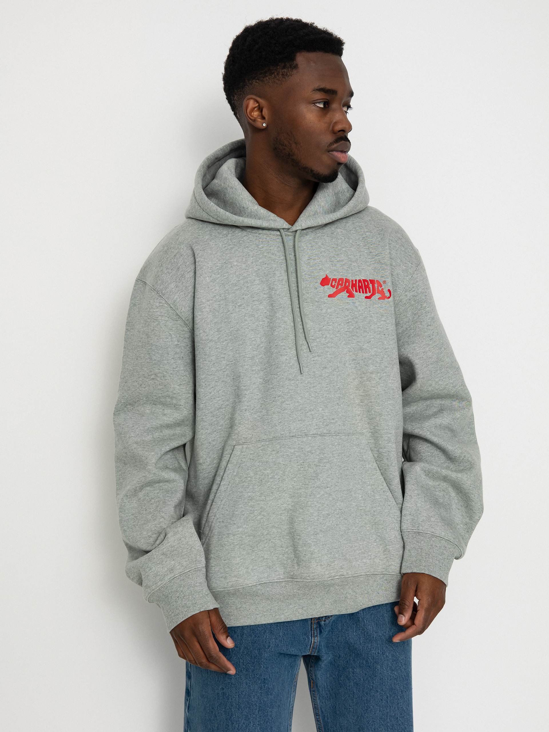 Carhartt WIP Rocky Script HD Hoodie (grey heather)