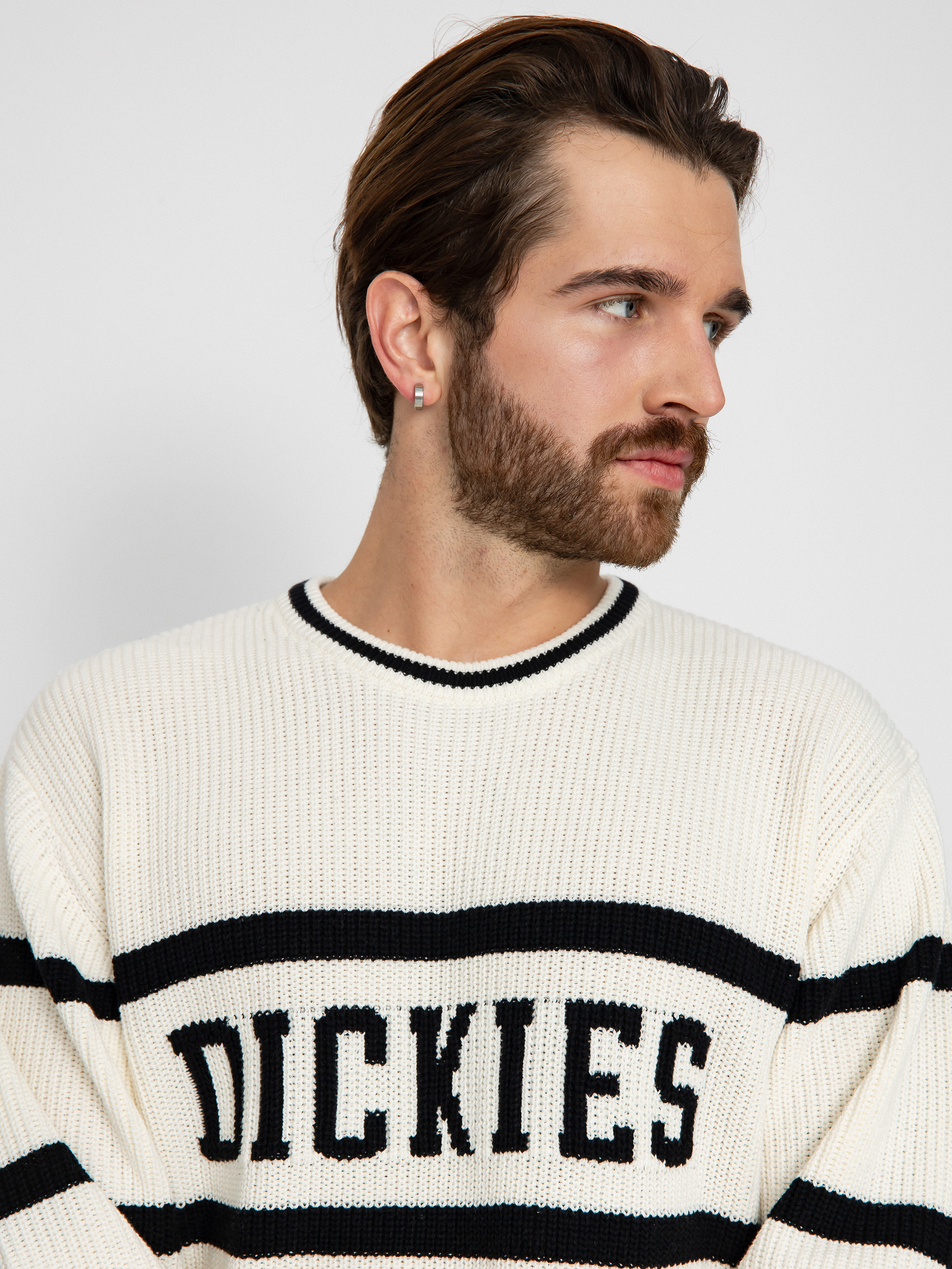 Dickies Melvern Pulli (cloud)