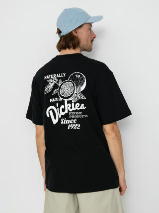 Dickies Raven T-Shirt (black)