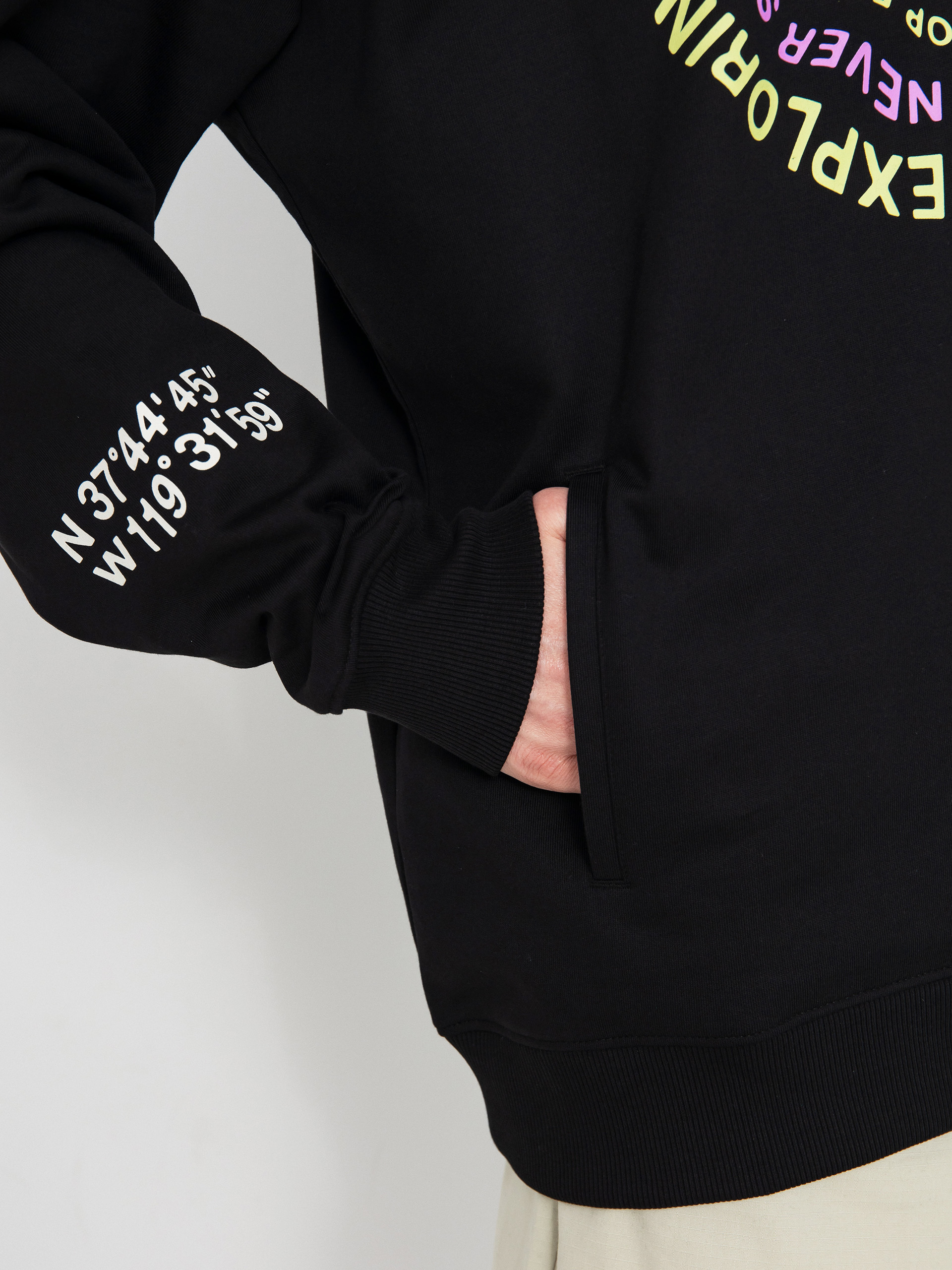 The North Face Nse Graphic HD Hoodie (tnf black)