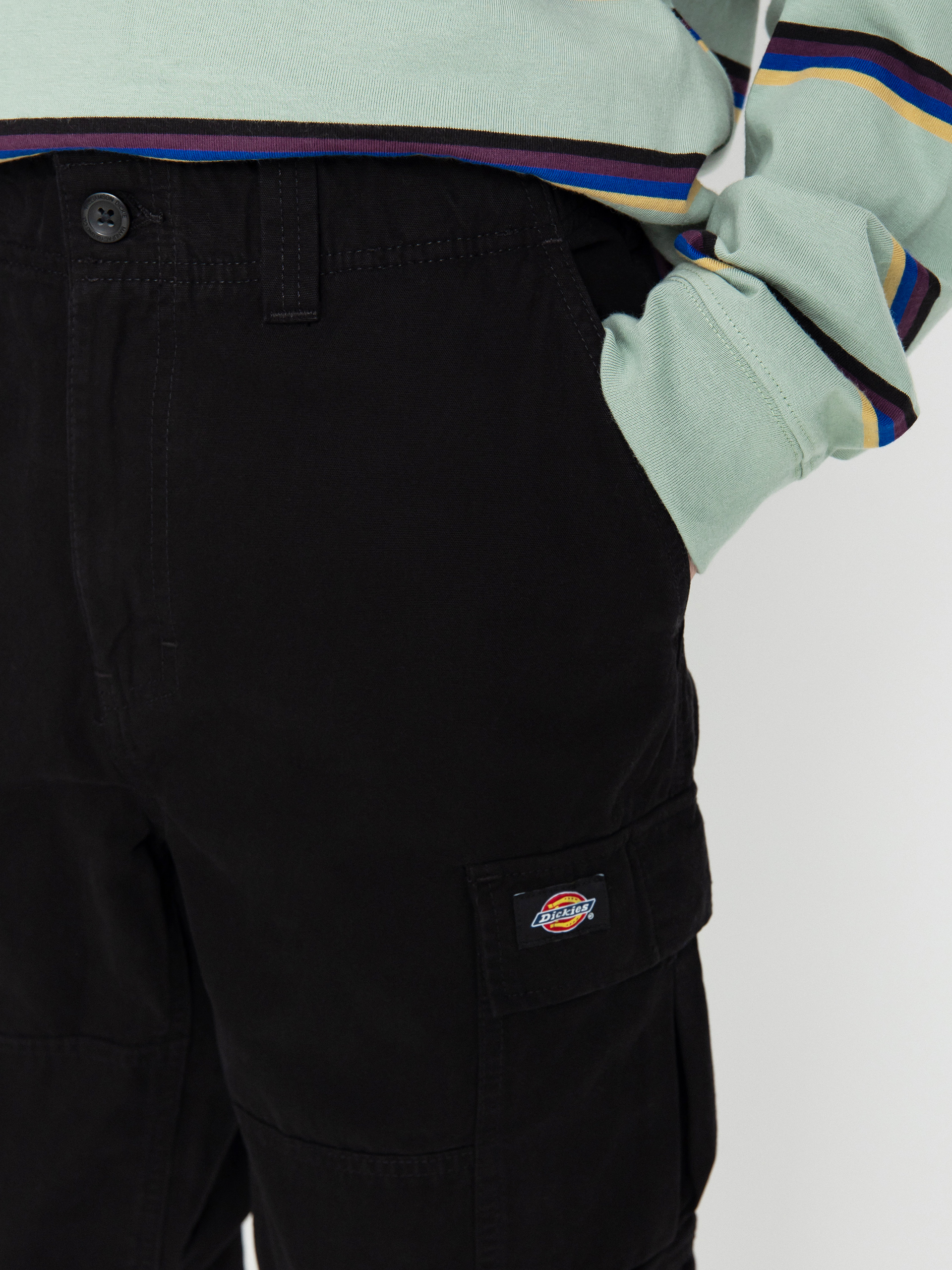 Dickies Johnson Cargo Pants (black)