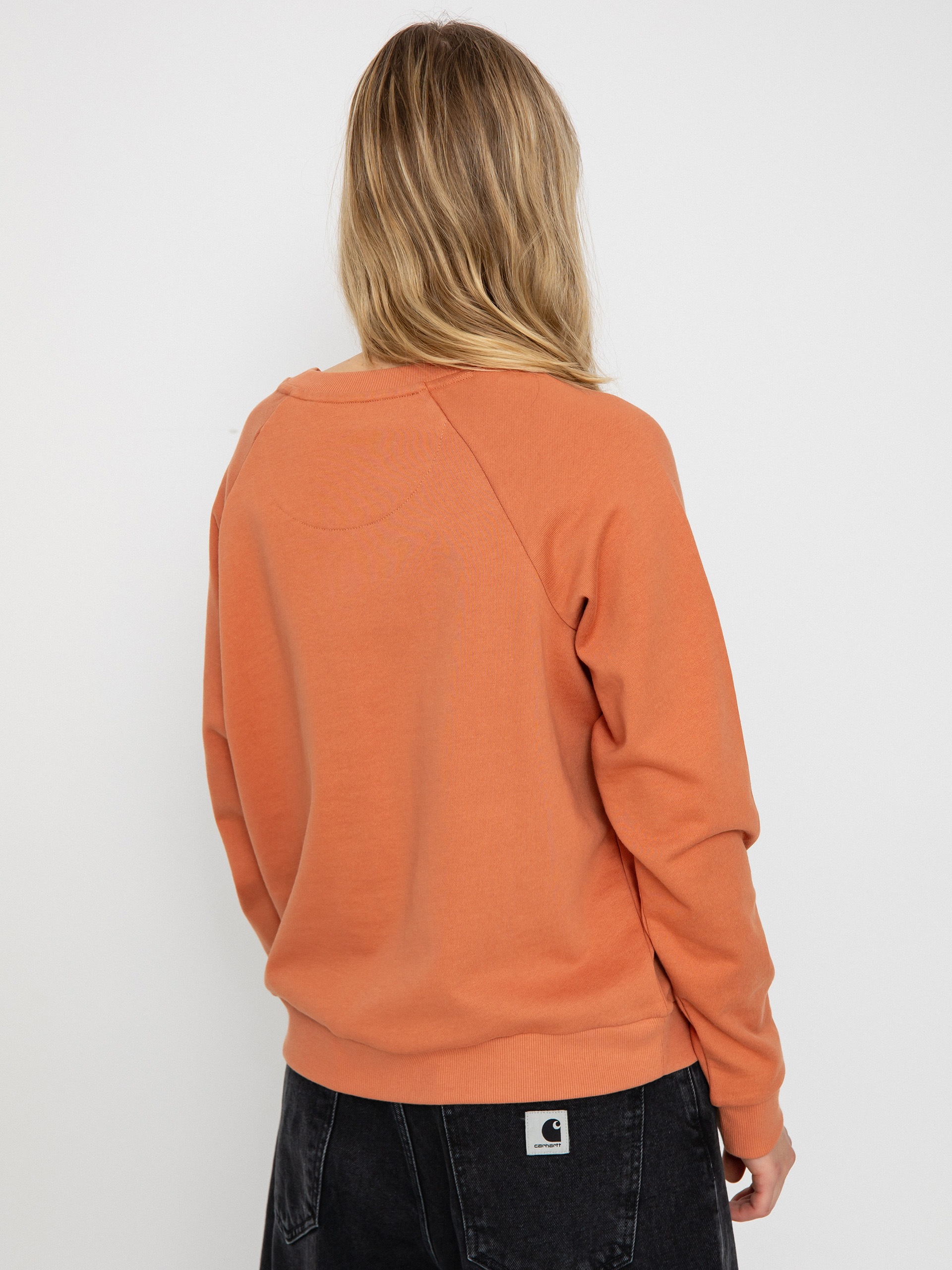 Patagonia Sweatshirt Regenerative Organic Certified Cotton Essential Wmn (sienna clay)