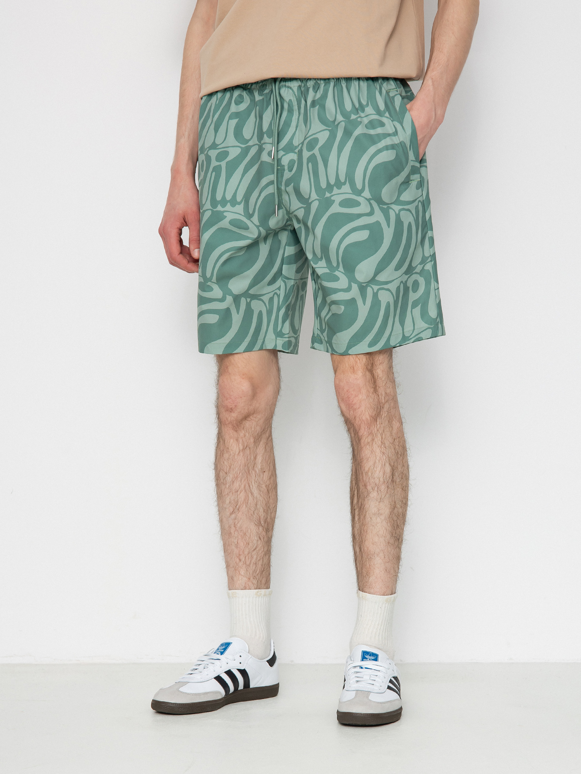 RipNDip Shorts Wilshire Swim (pine)