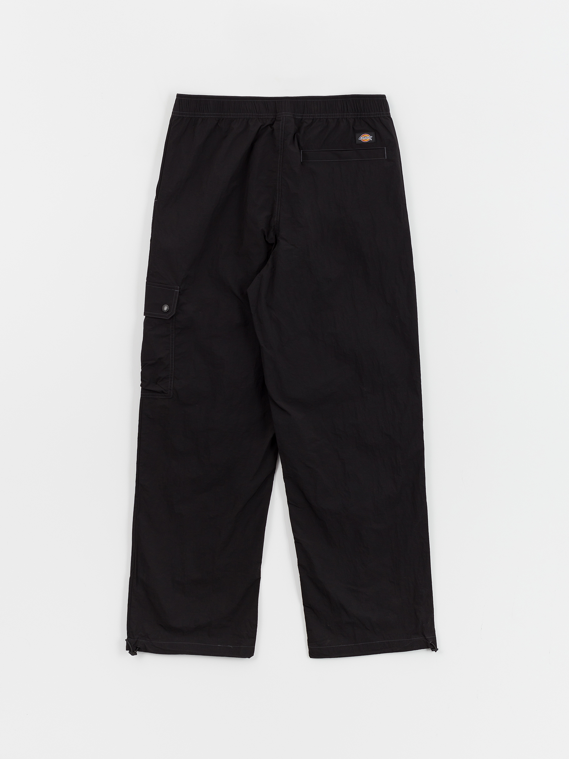 Dickies Pants Jackson Cargo (black)