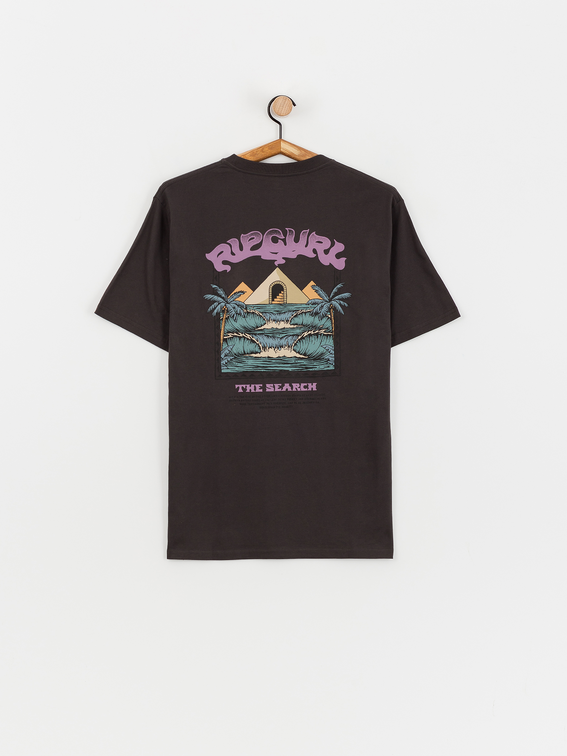 Rip Curl The Sphinx T-Shirt (washed black)