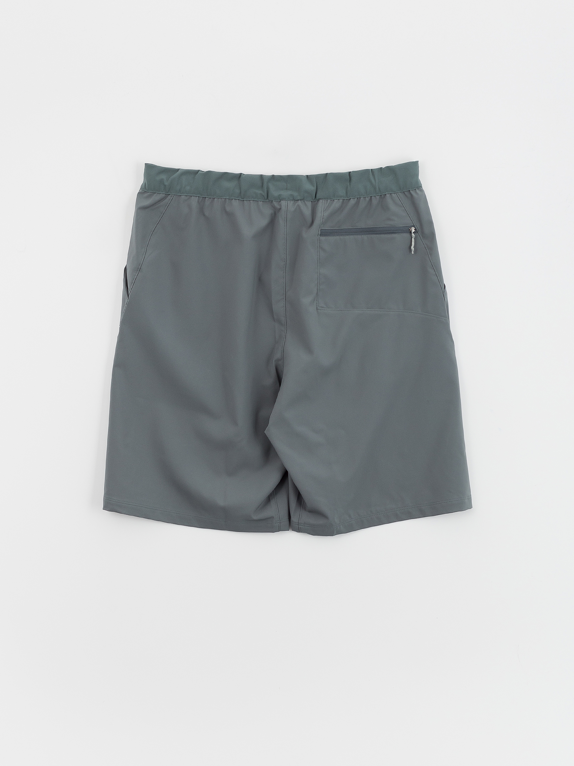 Patagonia Terrebonne Shorts (nouveau green)