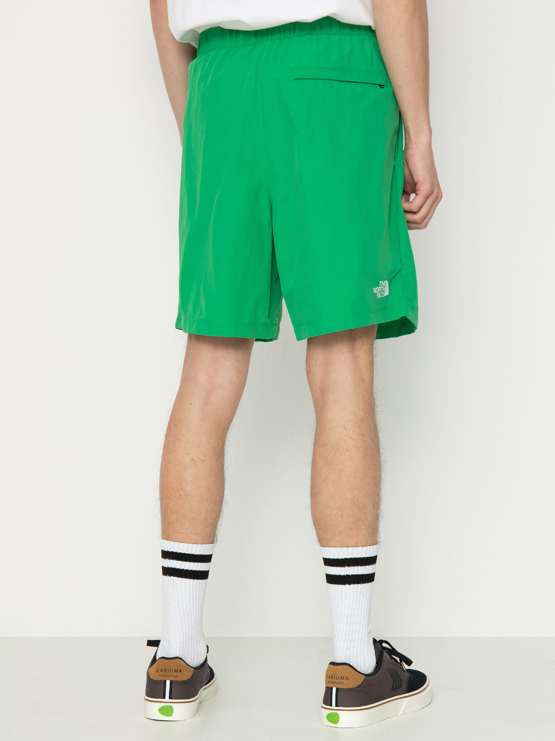 The North Face Shorts Water (optic emerald)