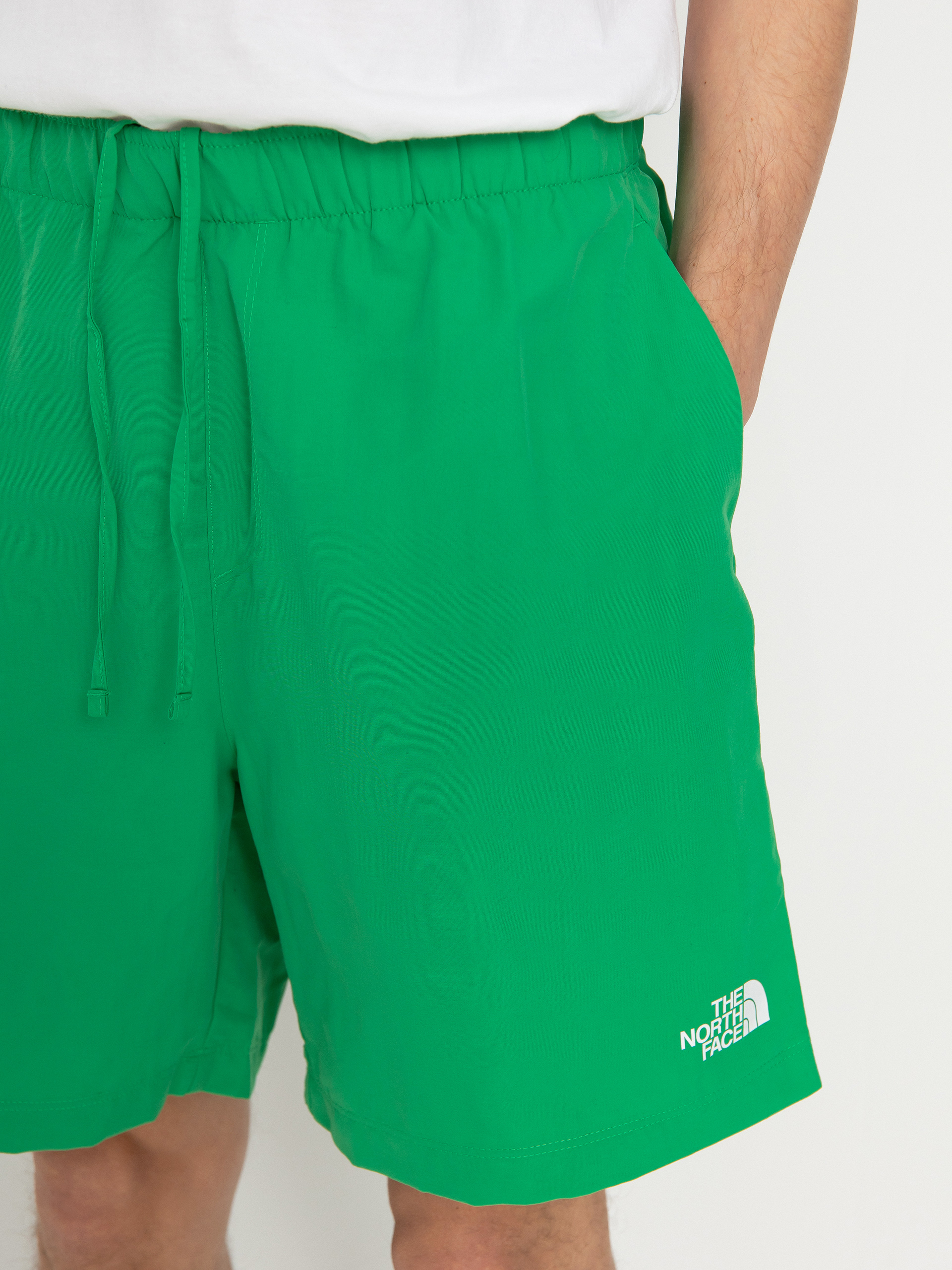 The North Face Shorts Water (optic emerald)
