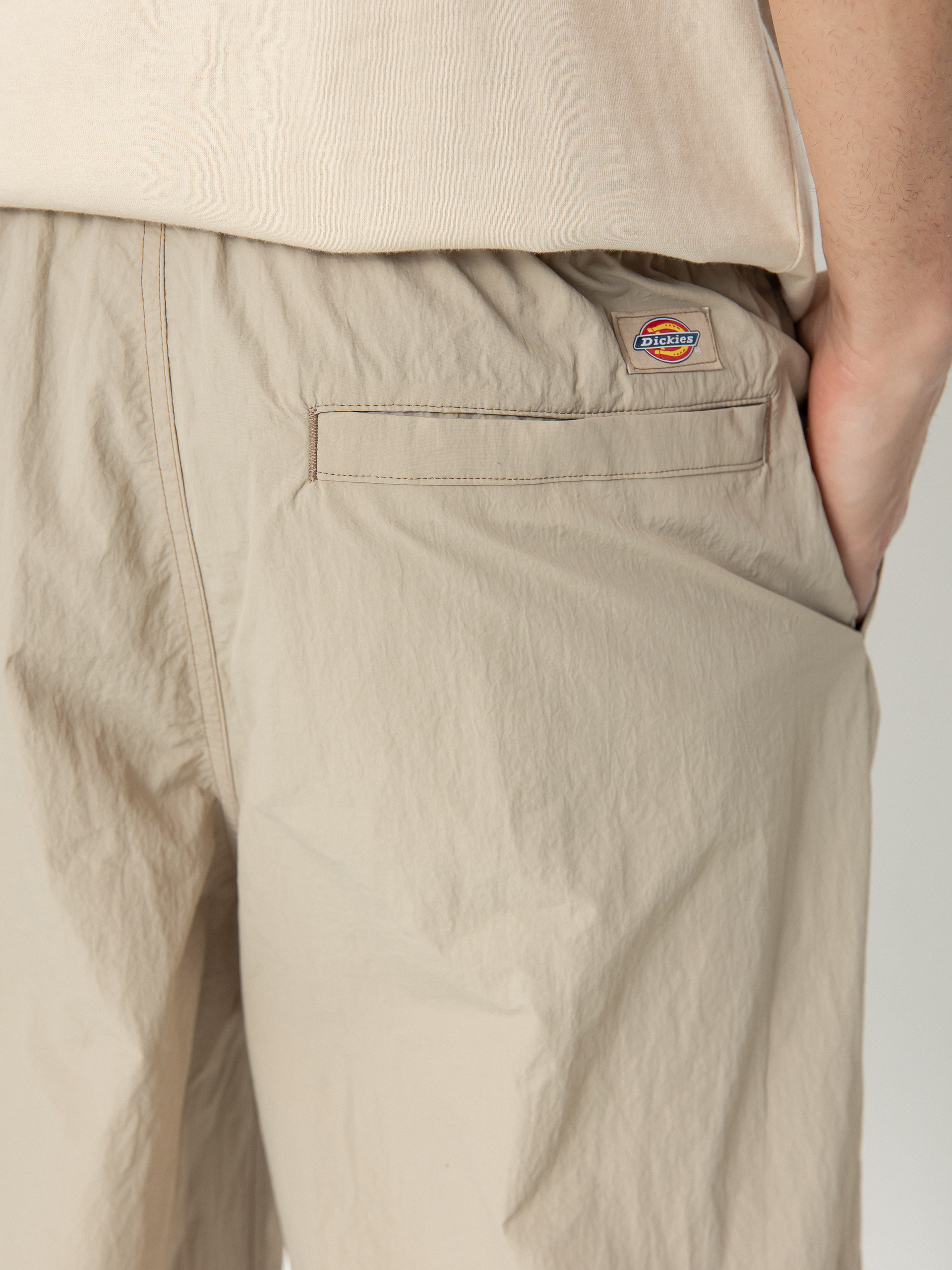 Dickies Pants Jackson Cargo (sandstone)