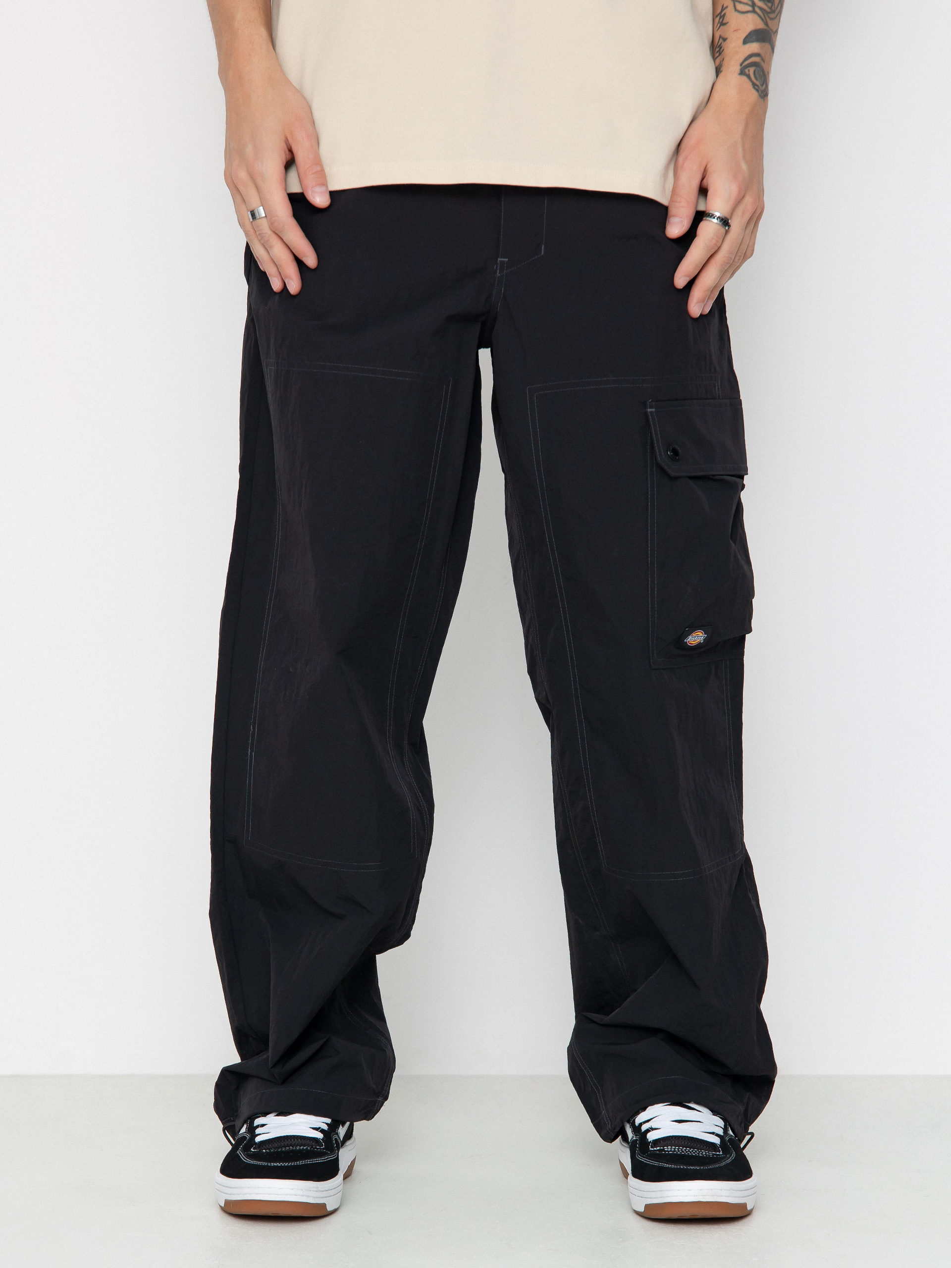 Dickies Pants Jackson Cargo black (black)