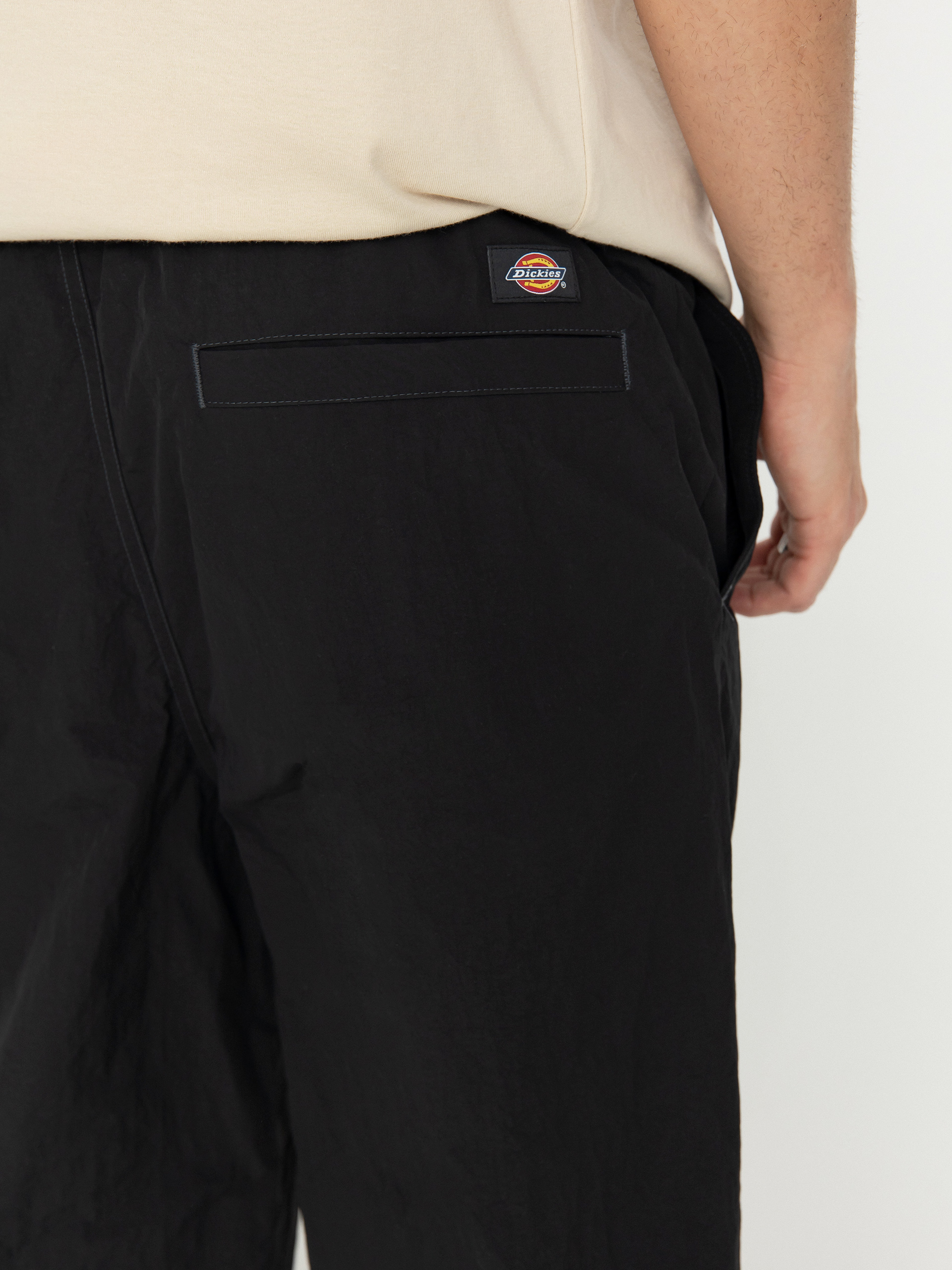 Dickies Pants Jackson Cargo (black)