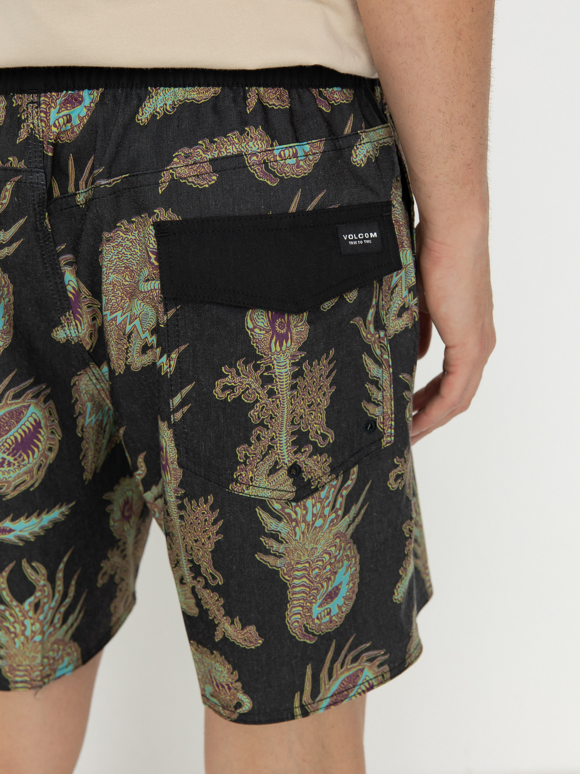 Volcom Fa Tetsunori 17 Shorts (black)