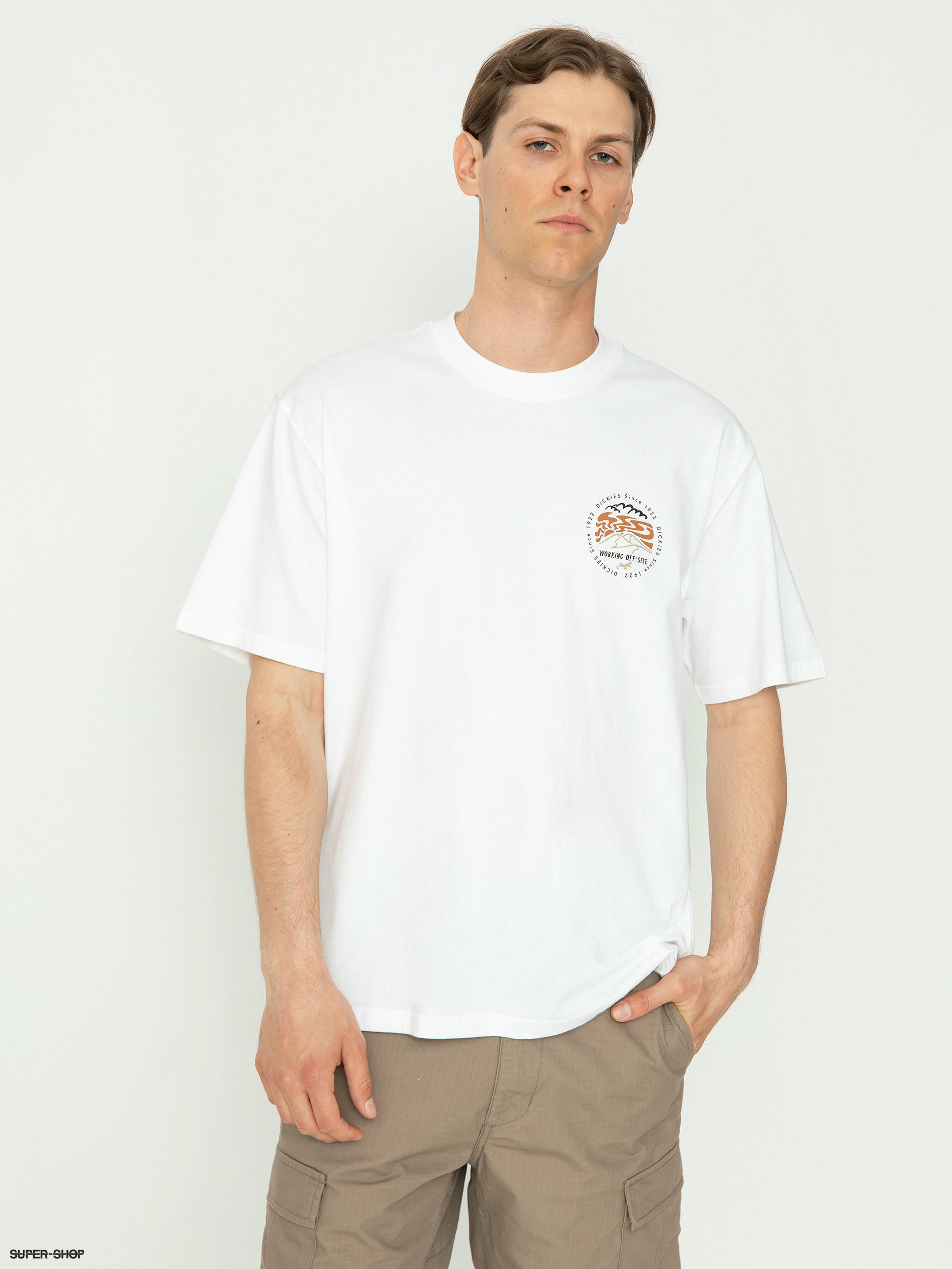 Dickies Stanardsville T-Shirt - white (white)