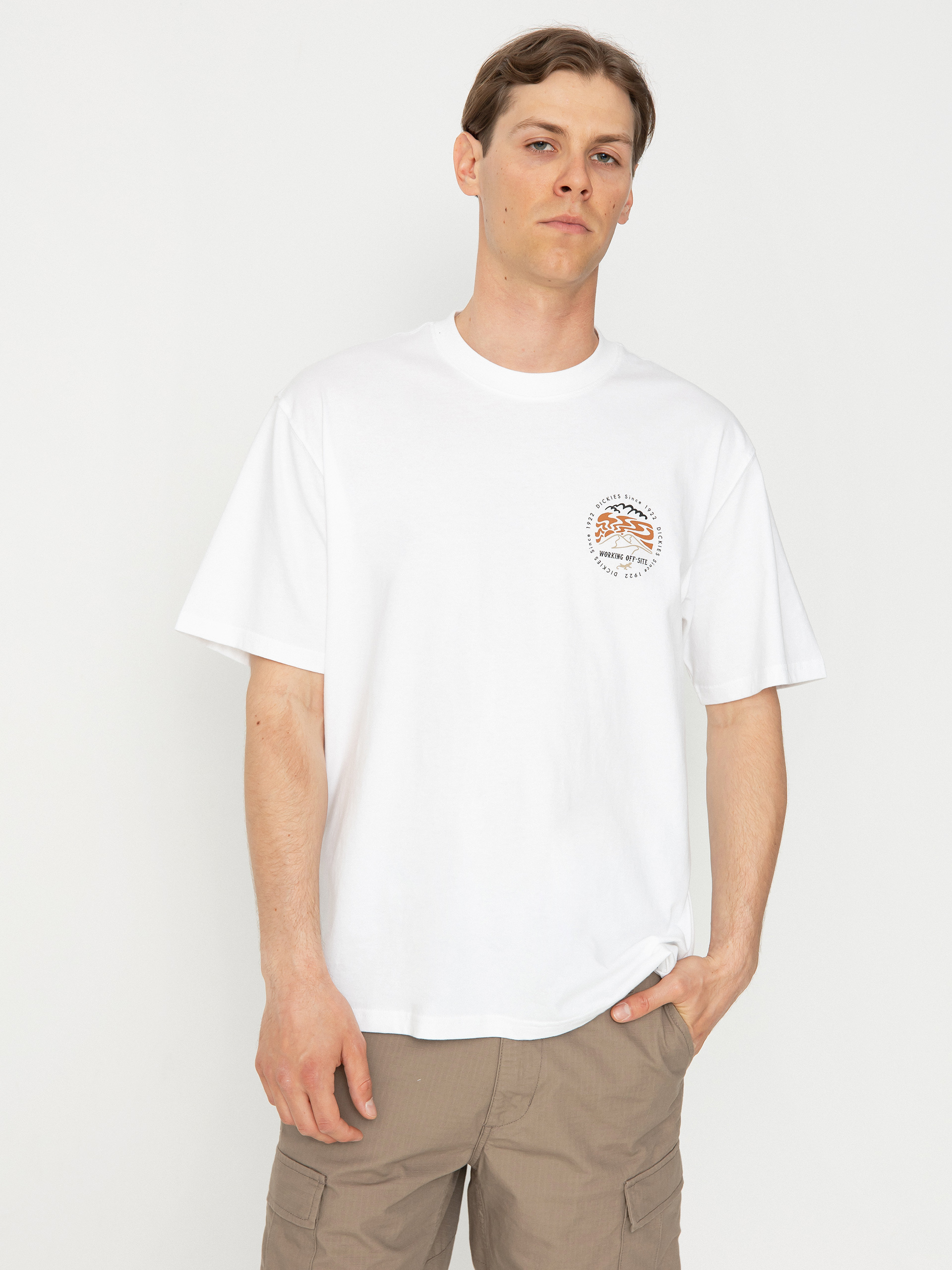 Dickies Stanardsville T-Shirt (white)