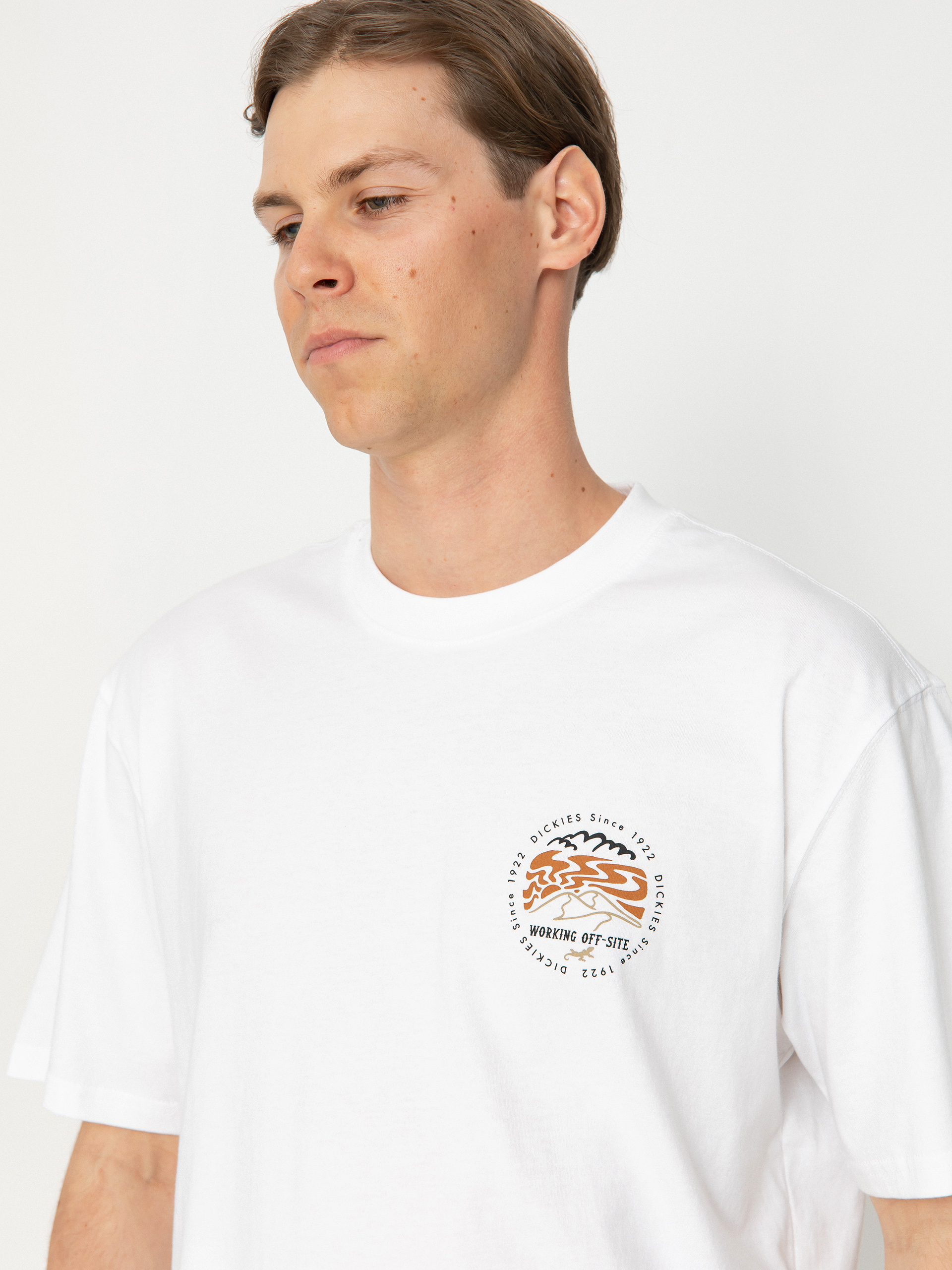 Dickies Stanardsville T-Shirt (white)