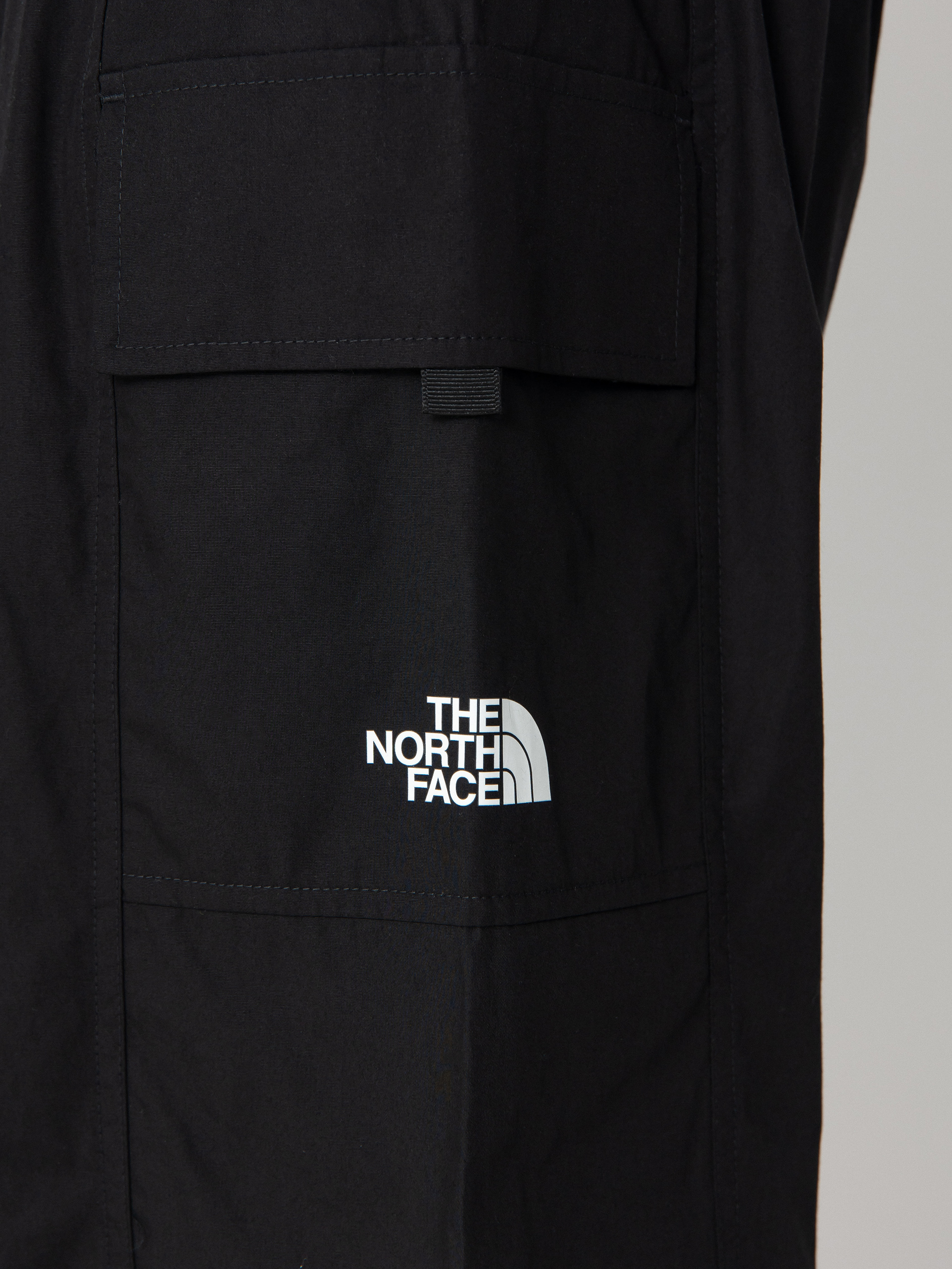 The North Face Pocket Shorts (tnf black)