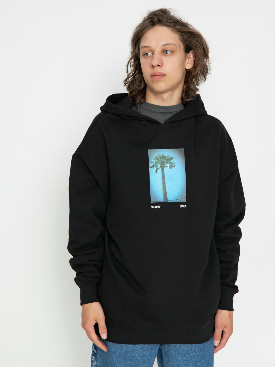 RVCA Palm Tv HD Hoodie (rvca black)