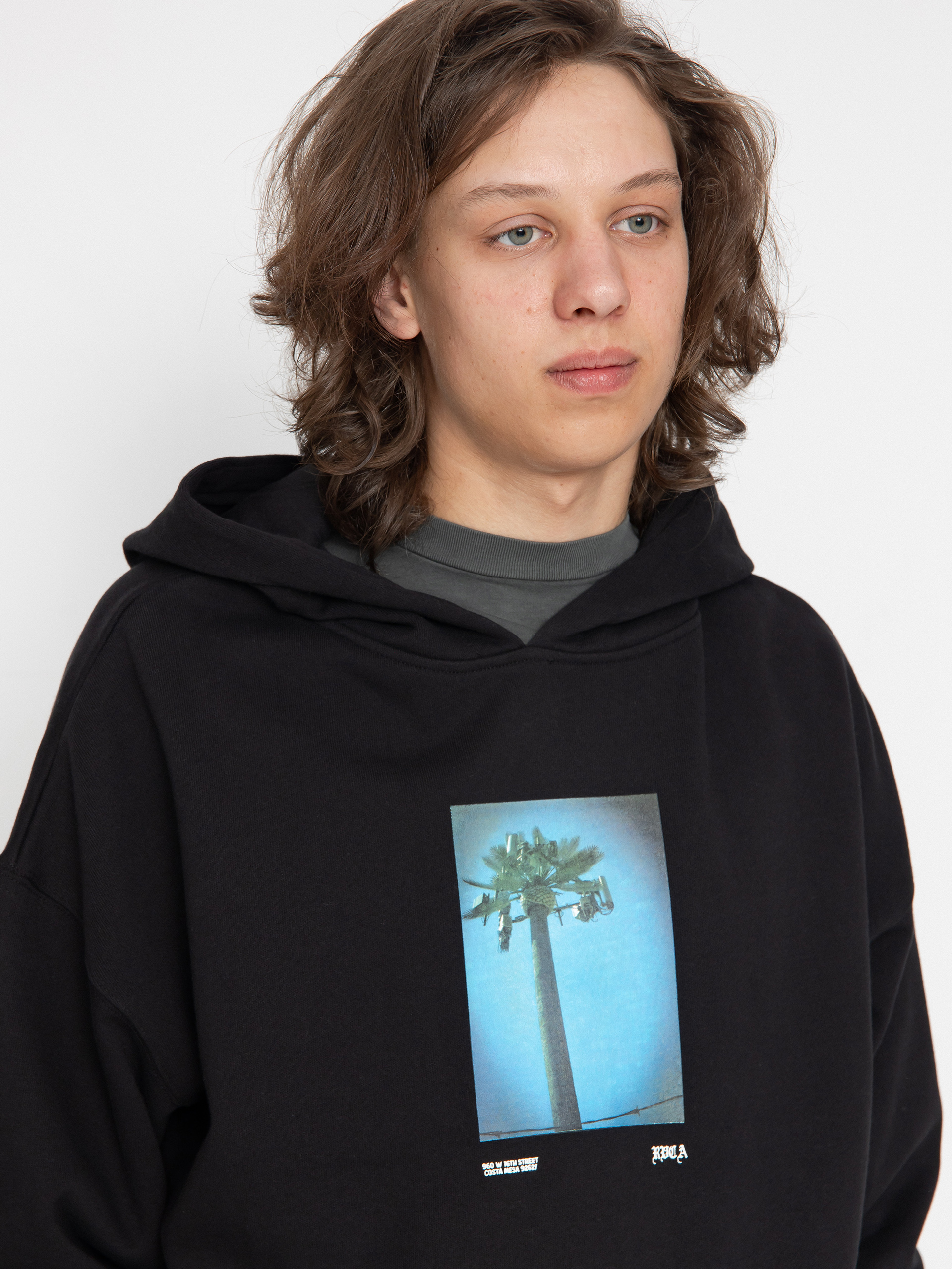 RVCA Palm Tv HD Hoodie (rvca black)