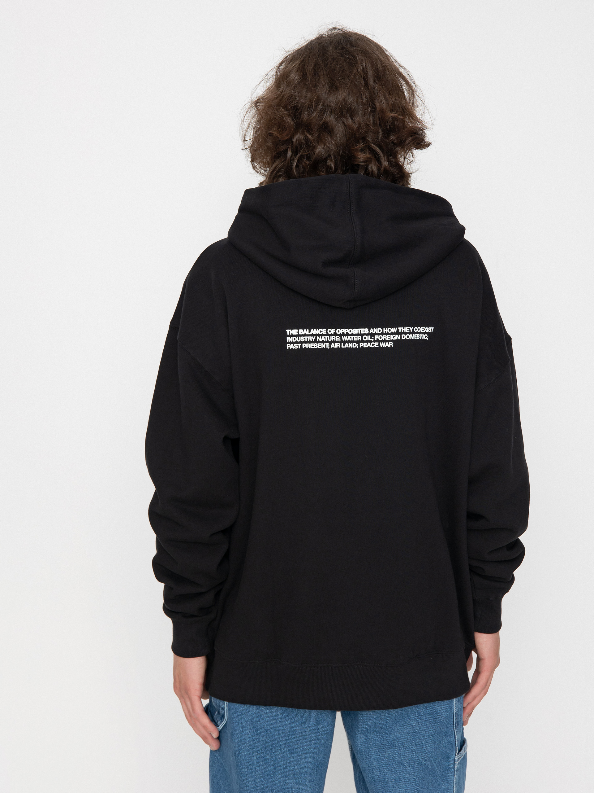 RVCA Palm Tv HD Hoodie (rvca black)
