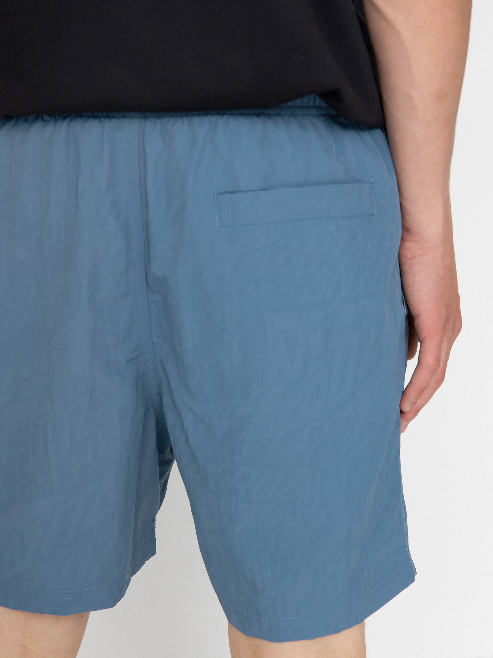 Santa Cruz Classic Dot Shorts (dusty blue)