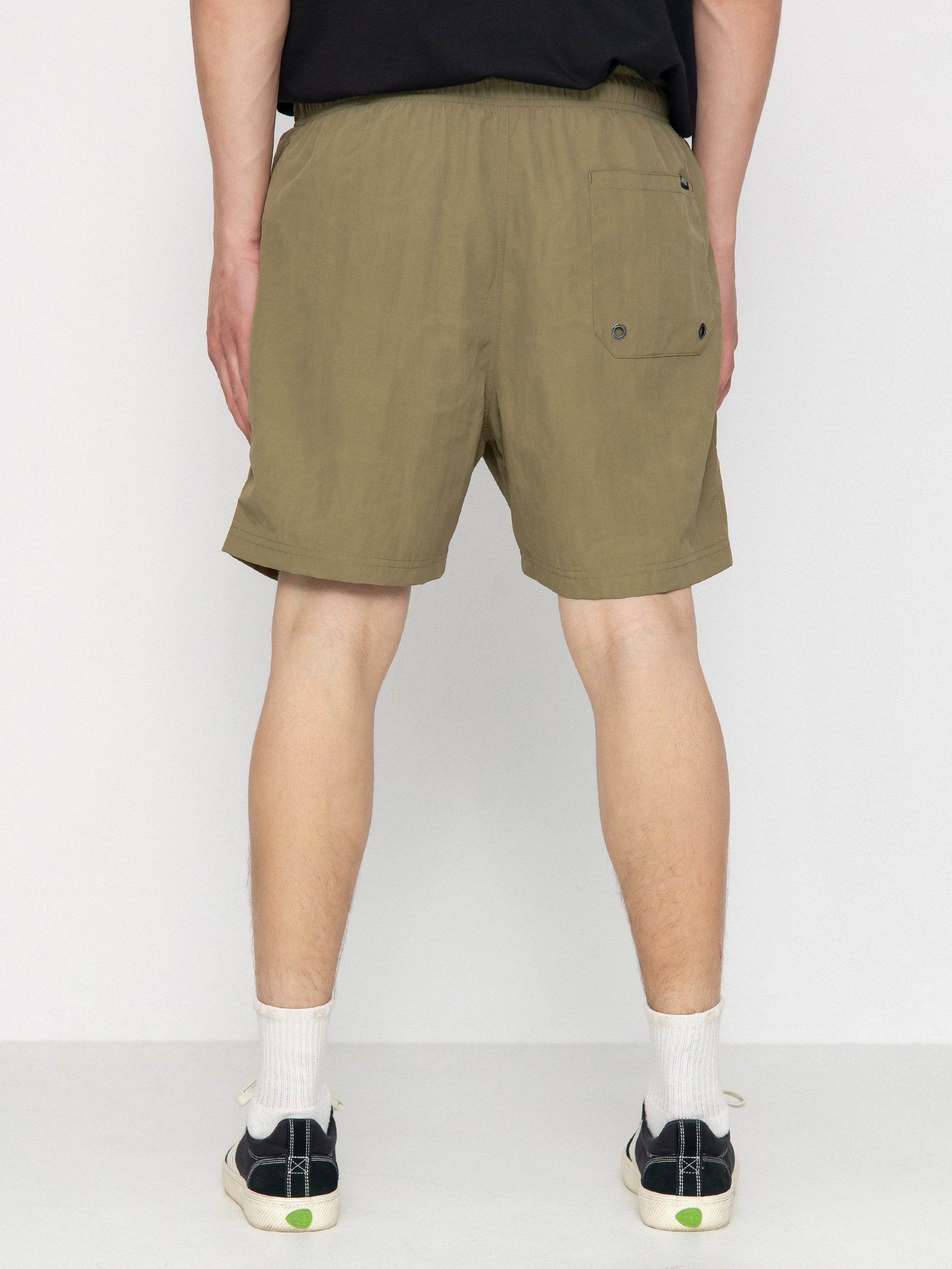 Santa Cruz Shorts Roskopp Evo 2 (sea kelp)