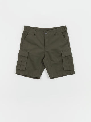 Santa Cruz Gauntlet Shorts (forest)