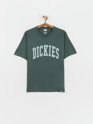 Dickies Aitkin T-Shirt (lncn grn/srf bl)