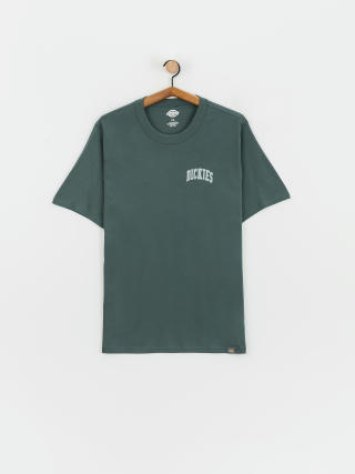 Dickies Aitkin Chest T-Shirt (lncn grn/srf bl)