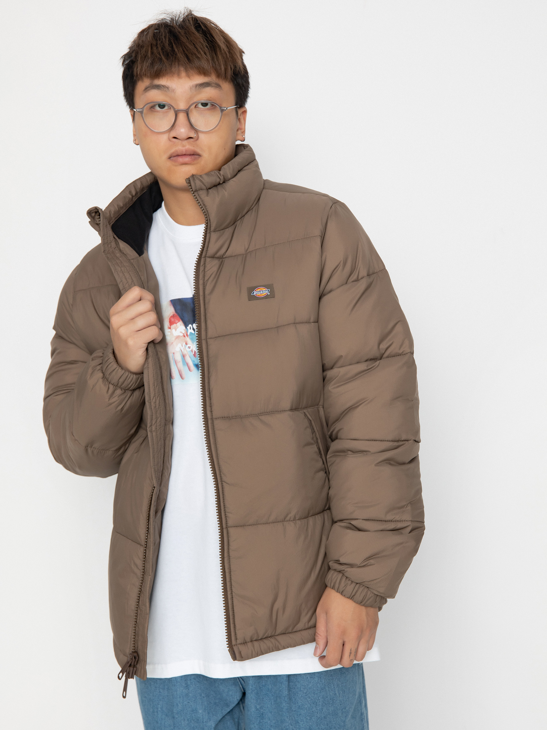 Dickies Waldenburg Jacke (mushroom)