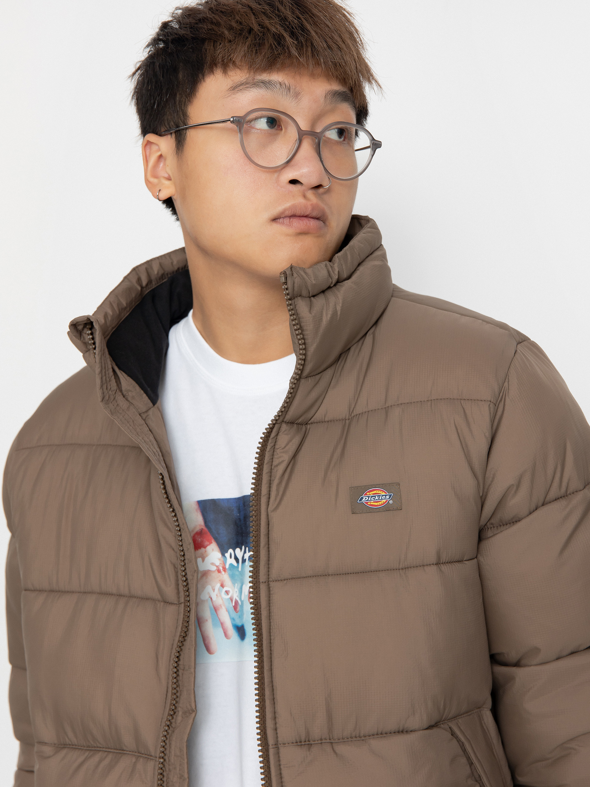 Dickies Waldenburg Jacket (mushroom)