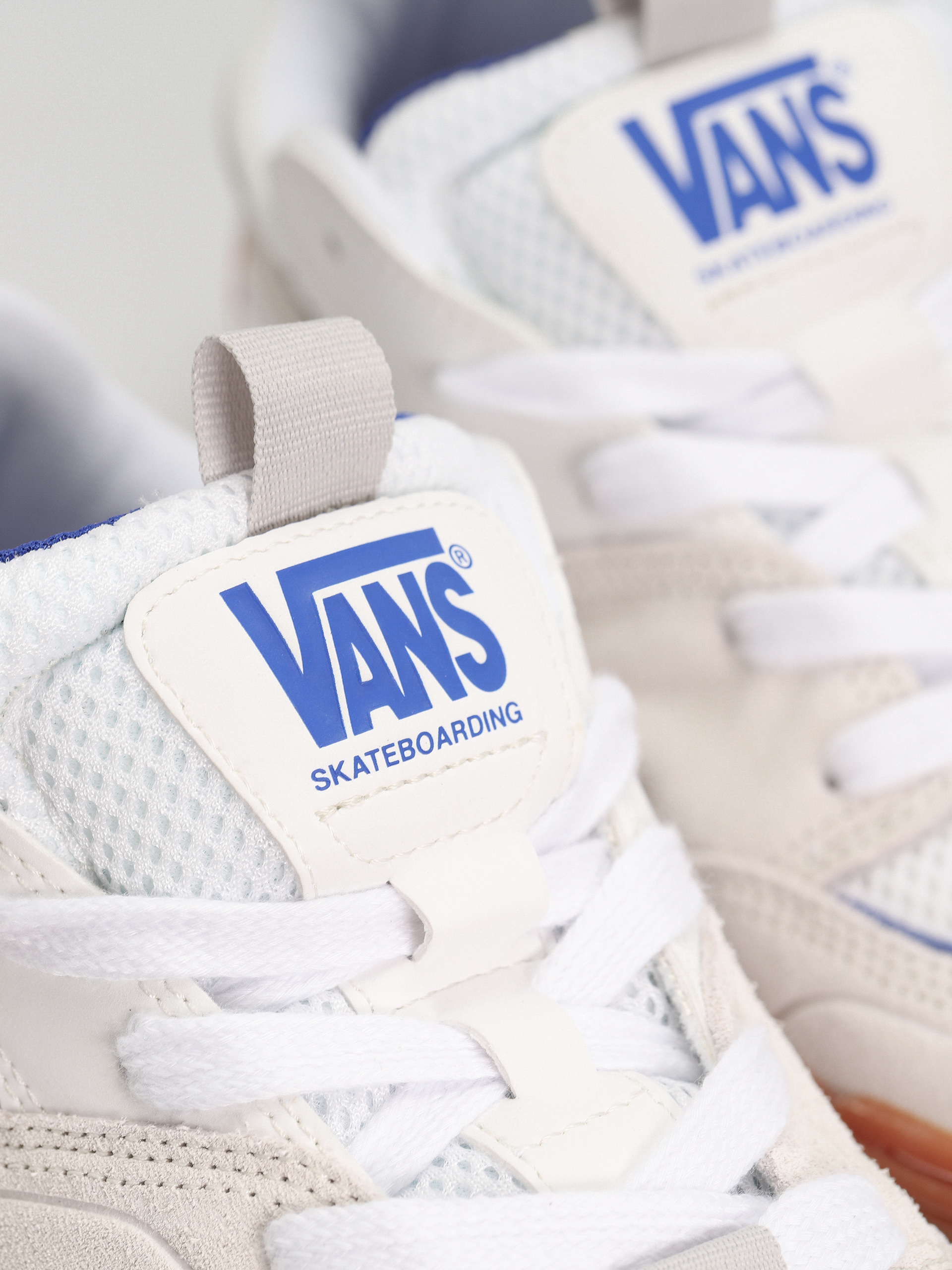 Vans Skate Mixxa Shoes (white/light blue)