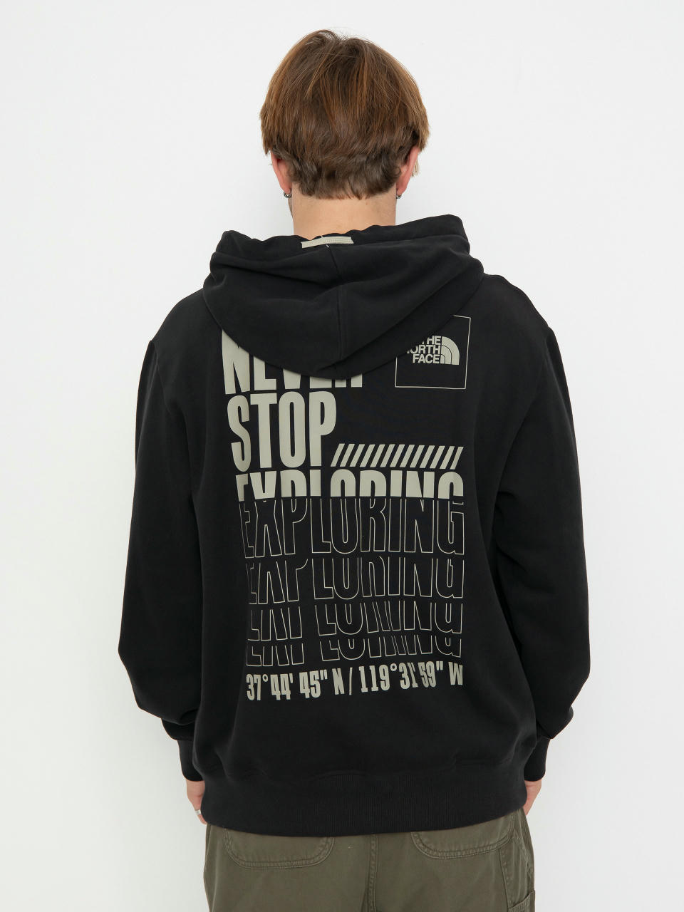 The North Face Coordinates HD Hoodie (tnf black)