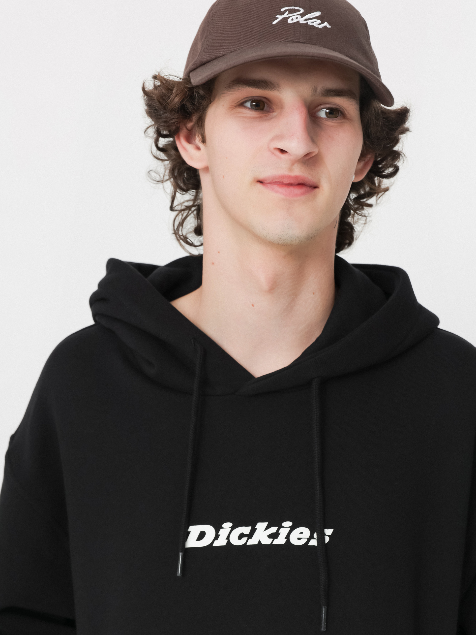 Dickies Enterprise HD Hoodie (black)
