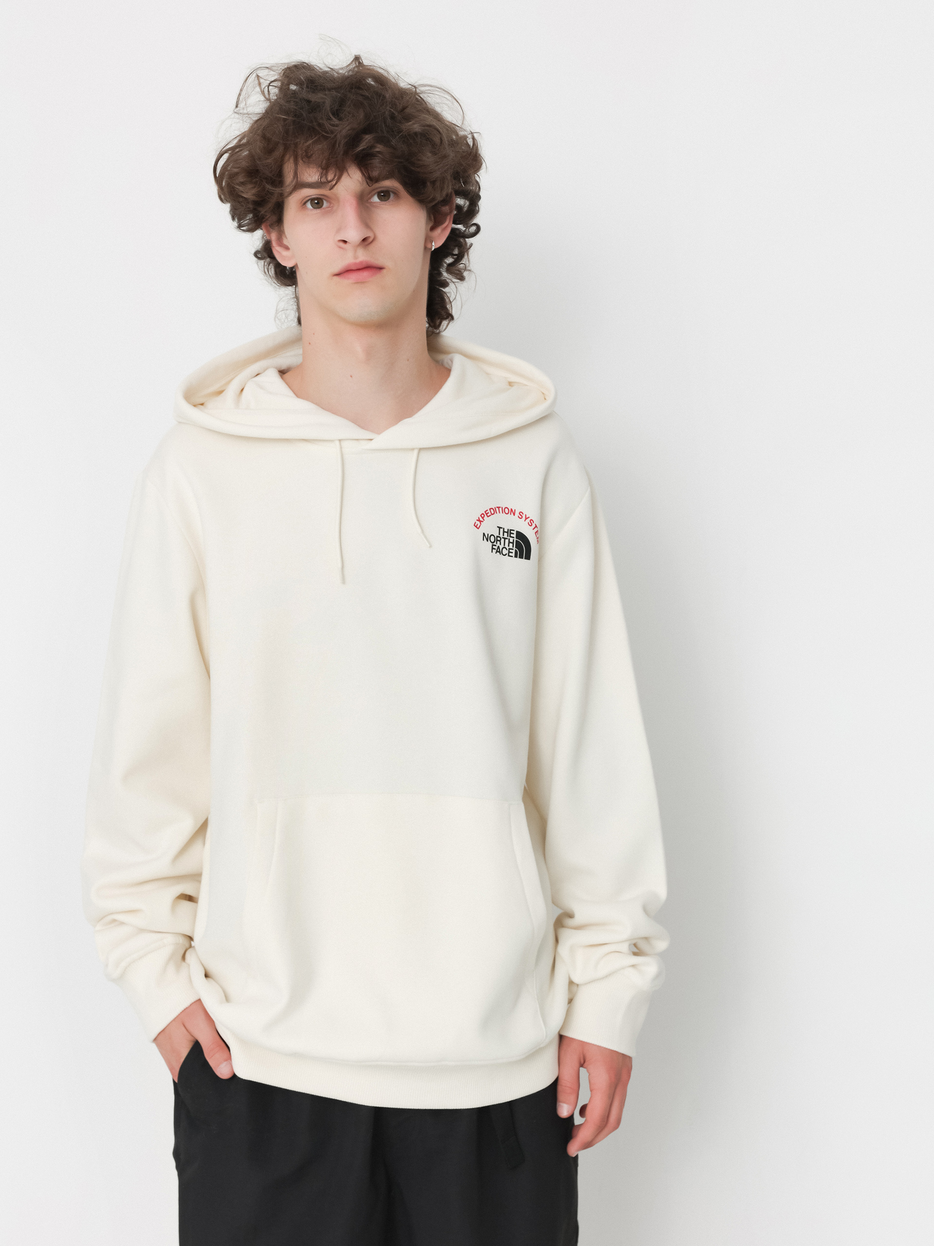 All white north face hoodie online