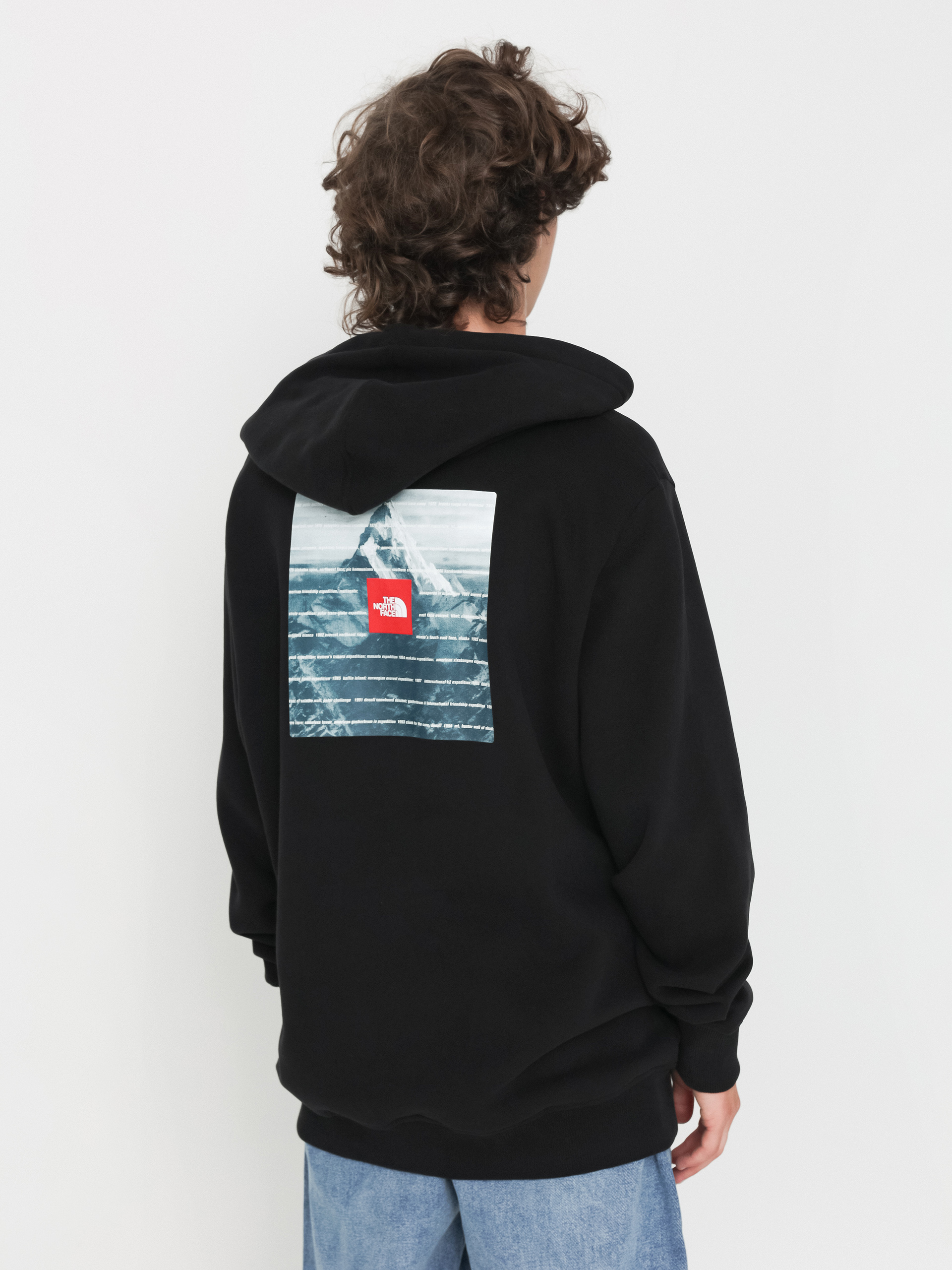 The North Face Expedition System Graphic HD Hoodie black (tnf black)