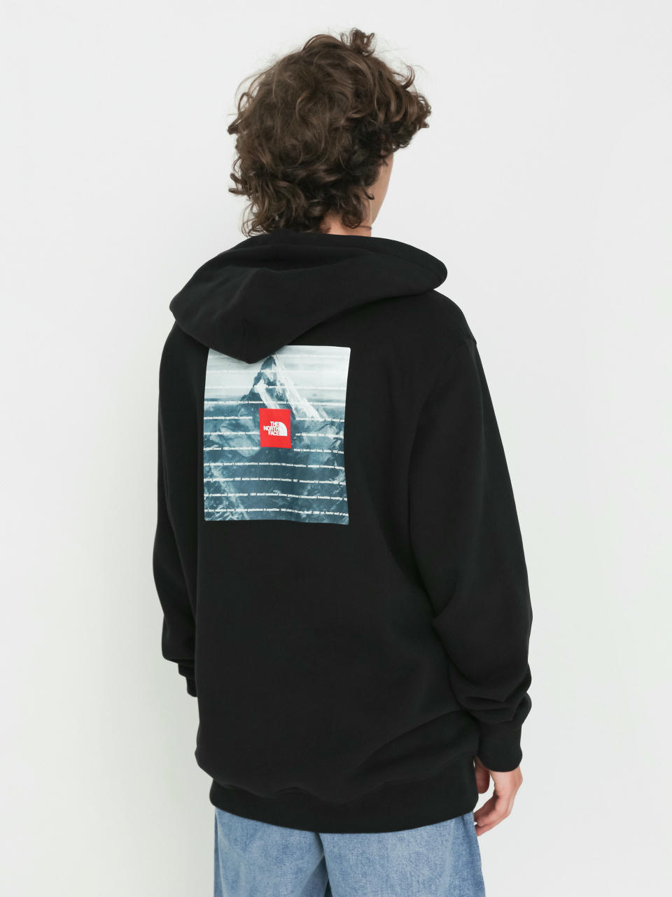 The North Face Expedition System Graphic HD Hoodie (tnf black)