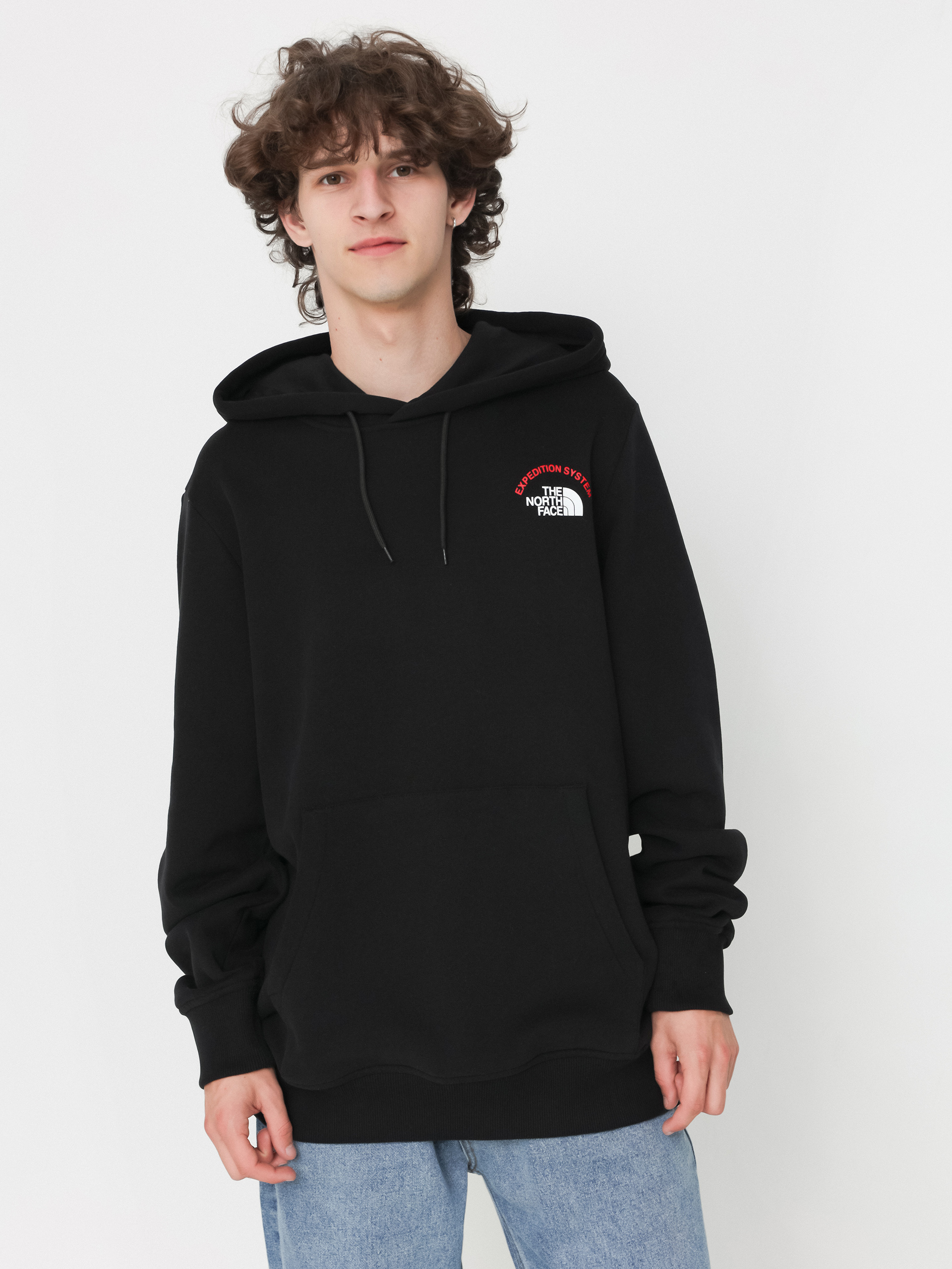 The North Face Expedition System Graphic HD Hoodie (tnf black)